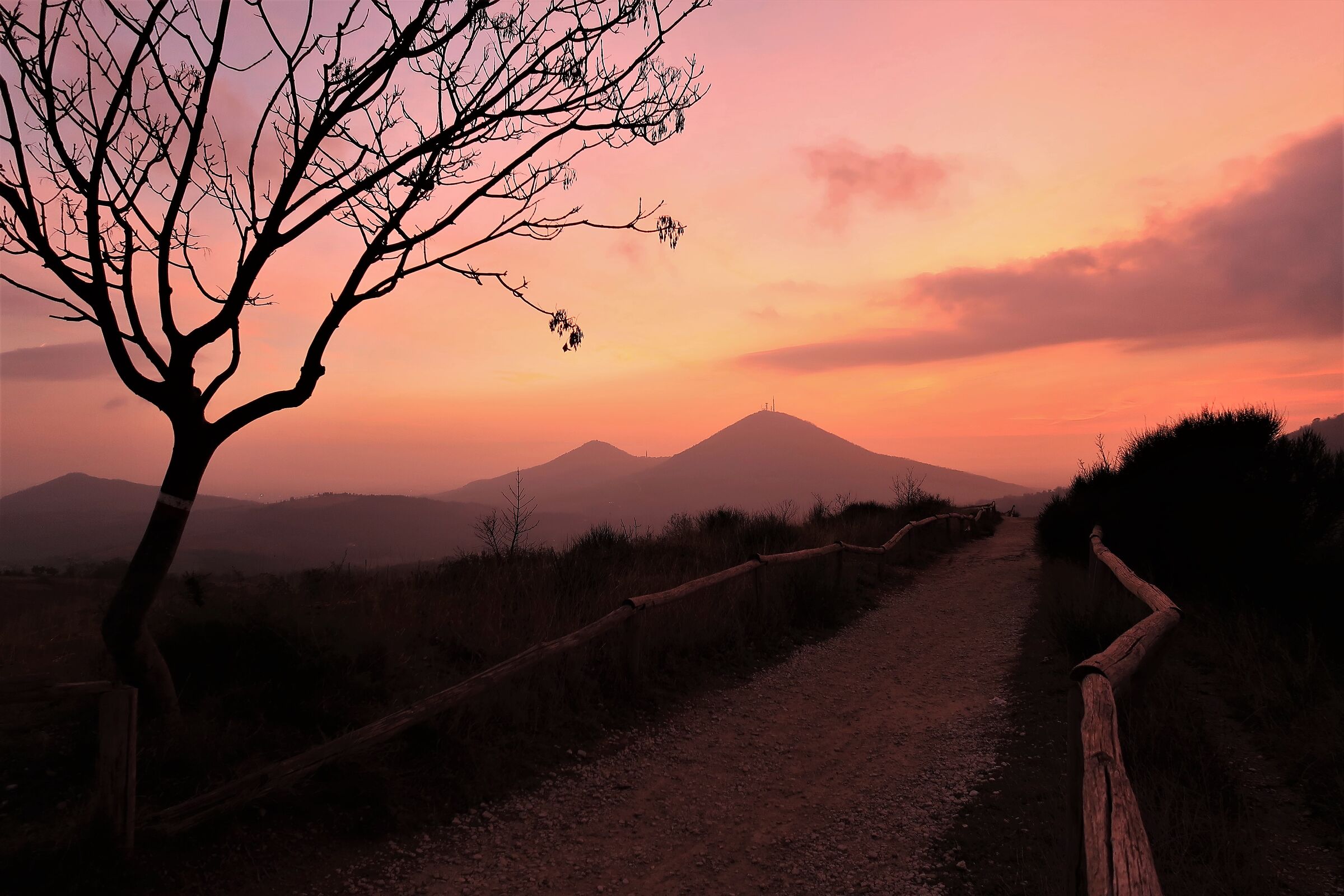 Quando il Pianoro si tinge di rosa