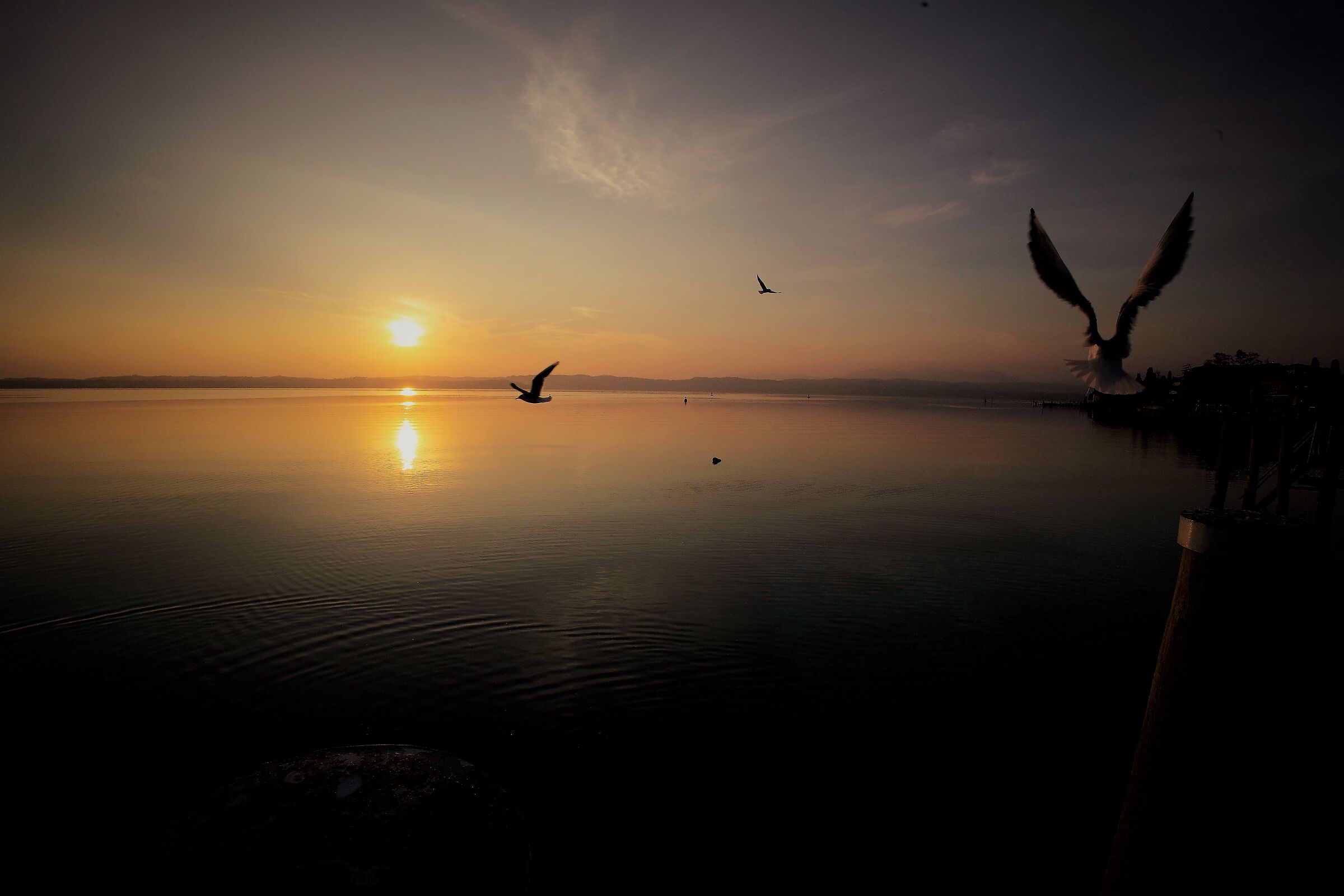 Verso il sole