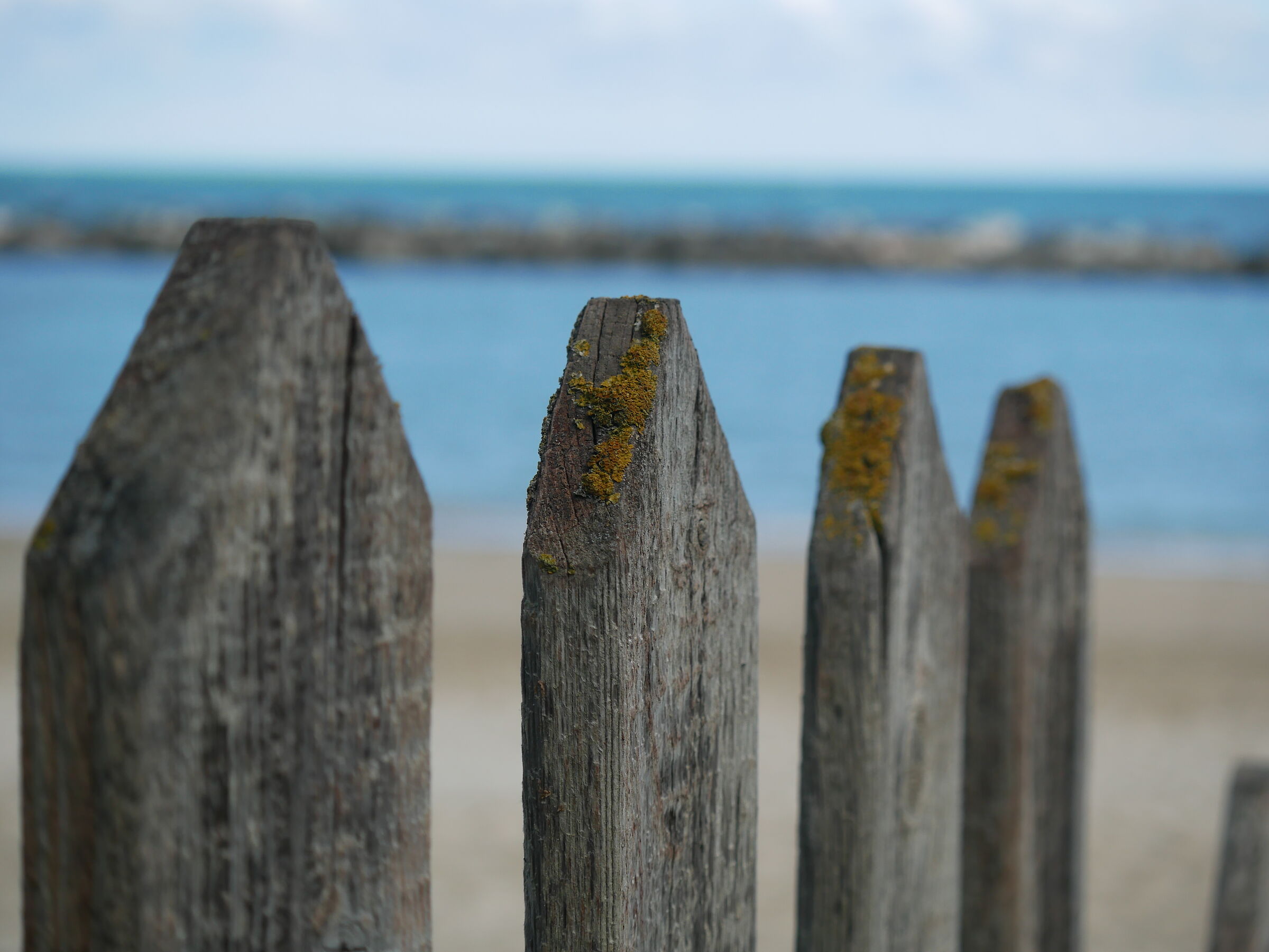 Beach Pass