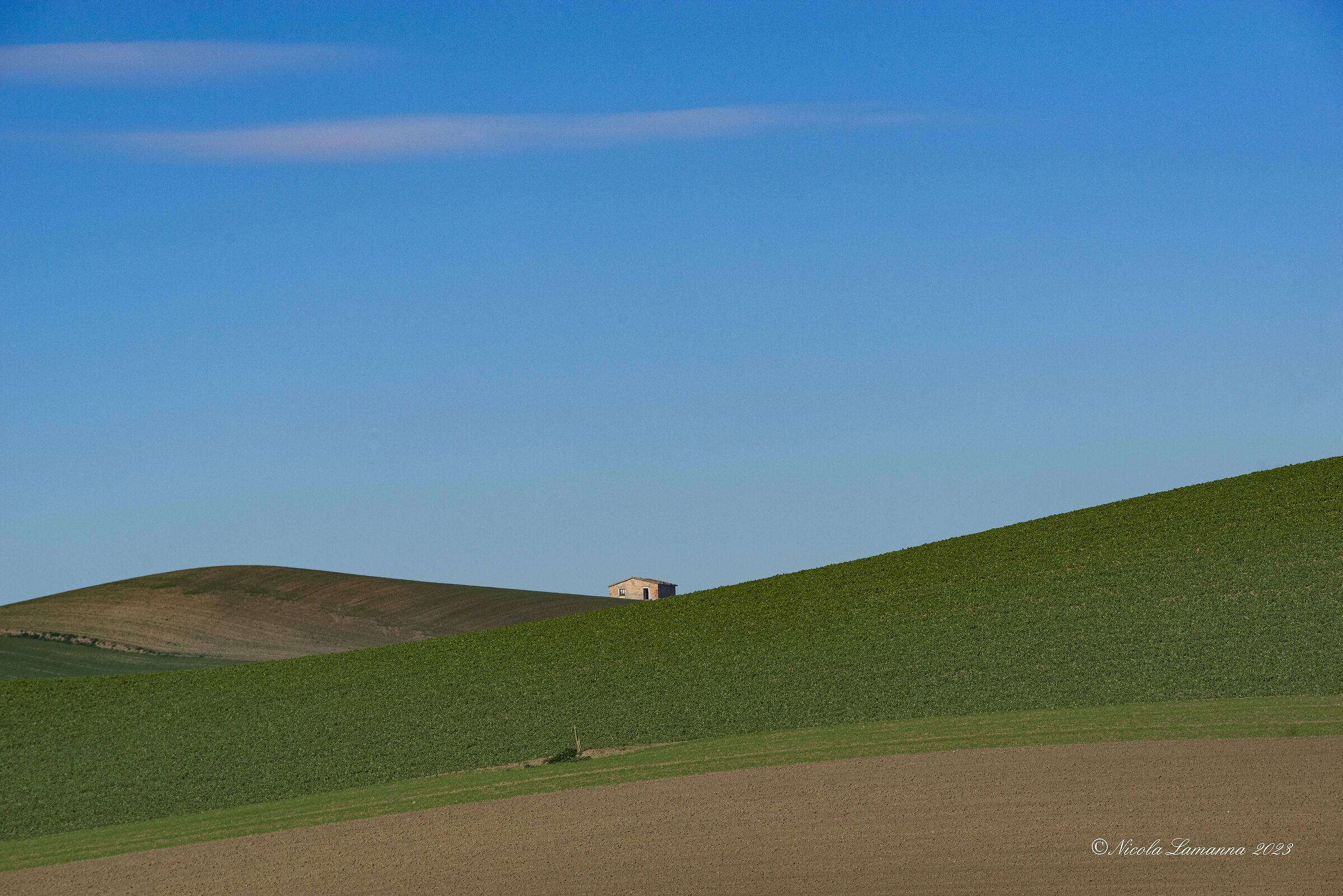 Untitled Photo