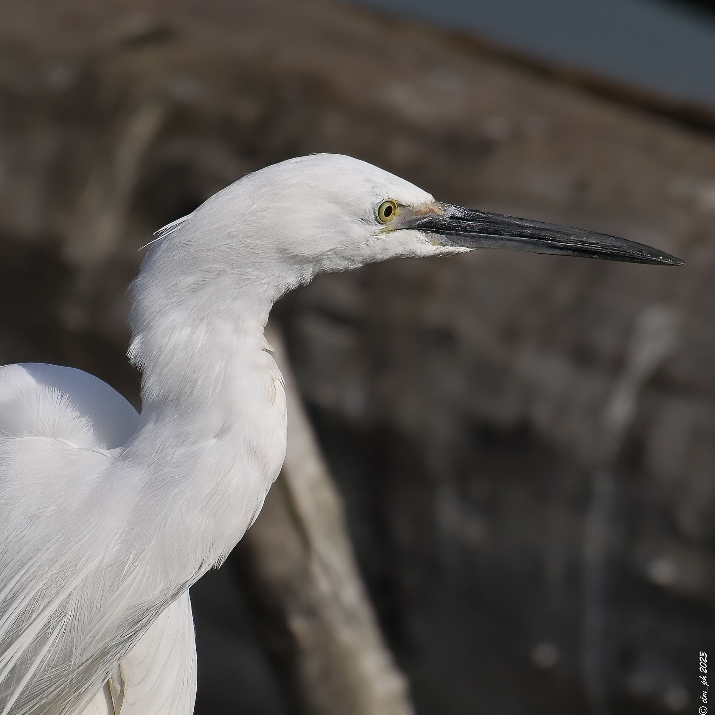 Egret 1120mm
