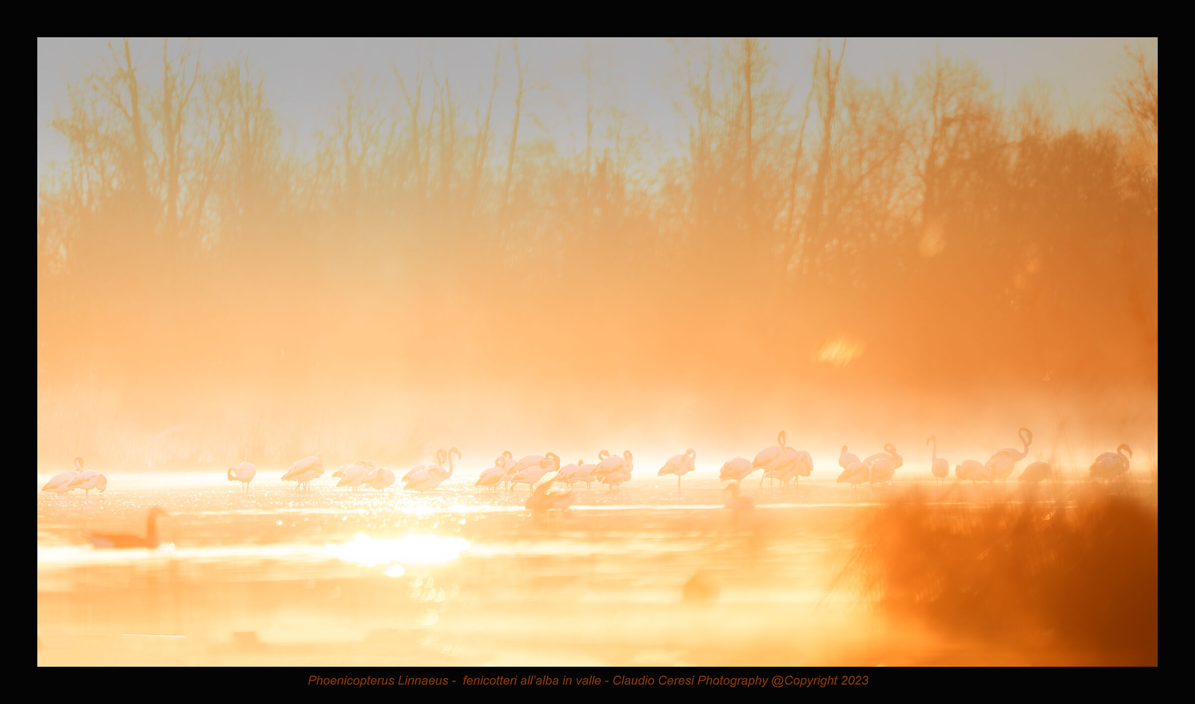 Sunrise in the valleys
