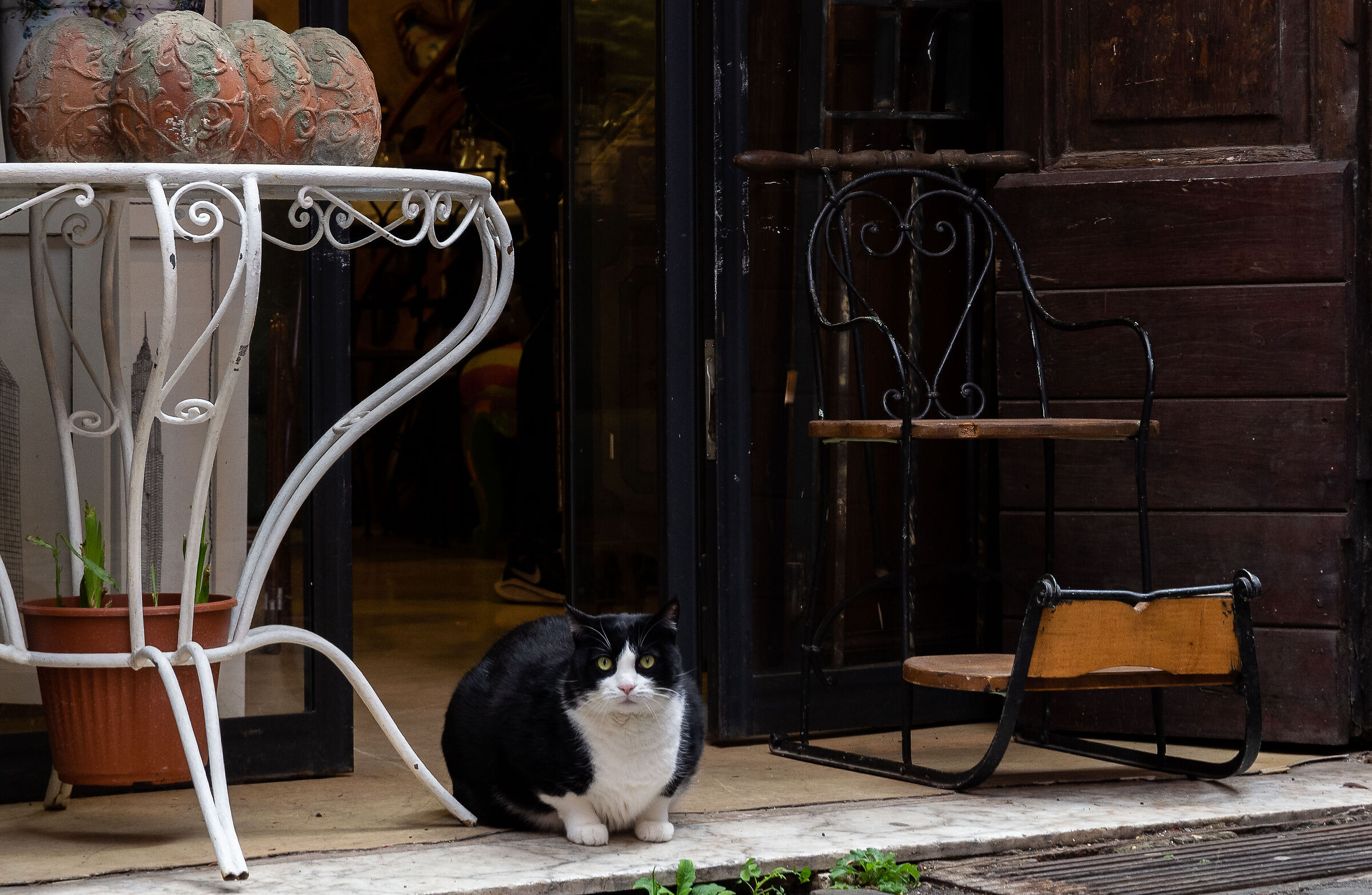 Towards Campo de' fiori