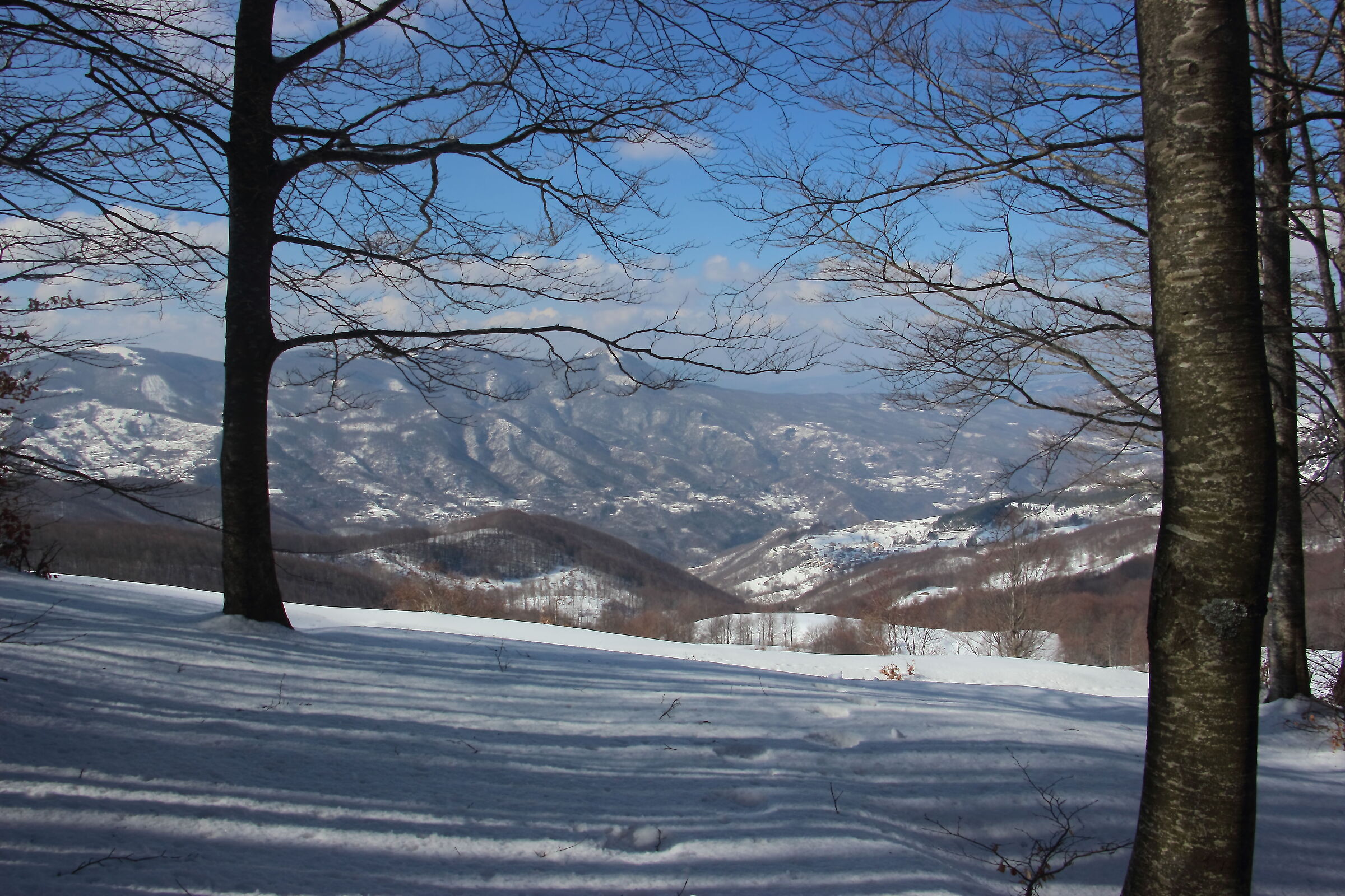 snow