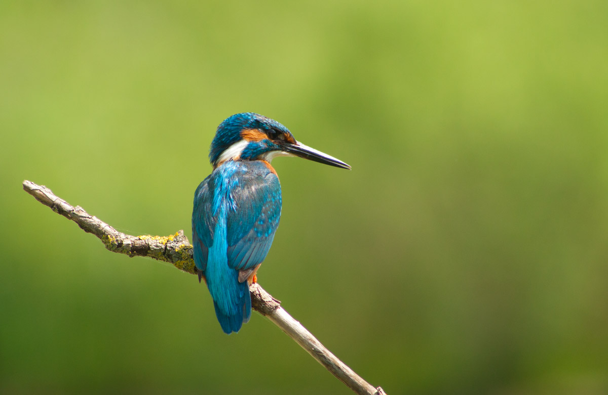 moment of reflection