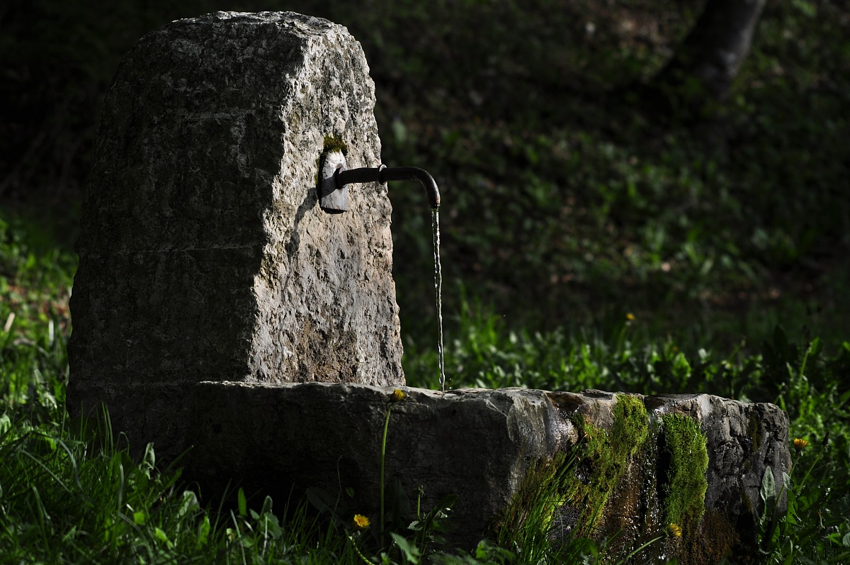 The fountain of youth