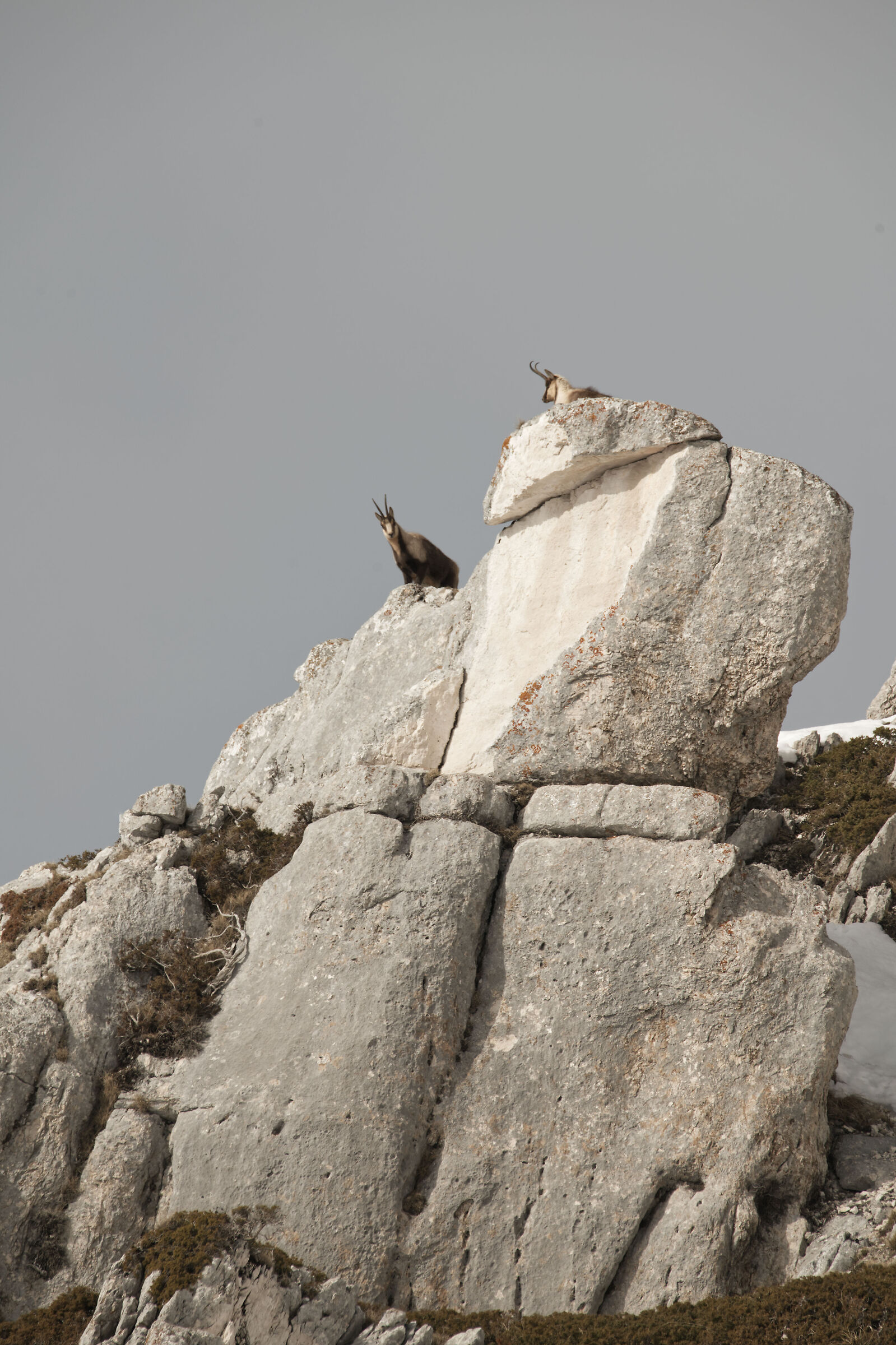 On the lookout tower