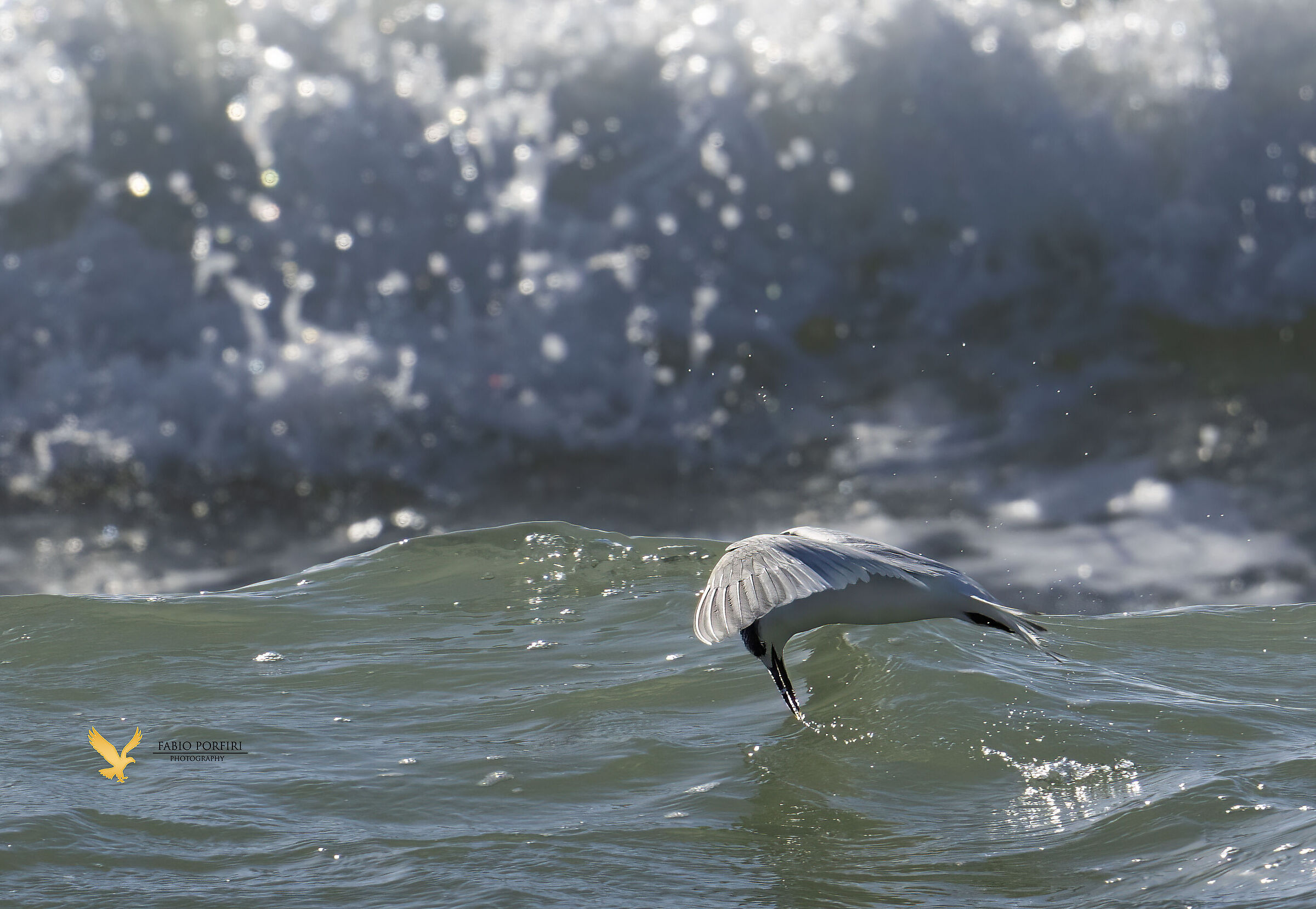 il momento magico ...tra le onde
