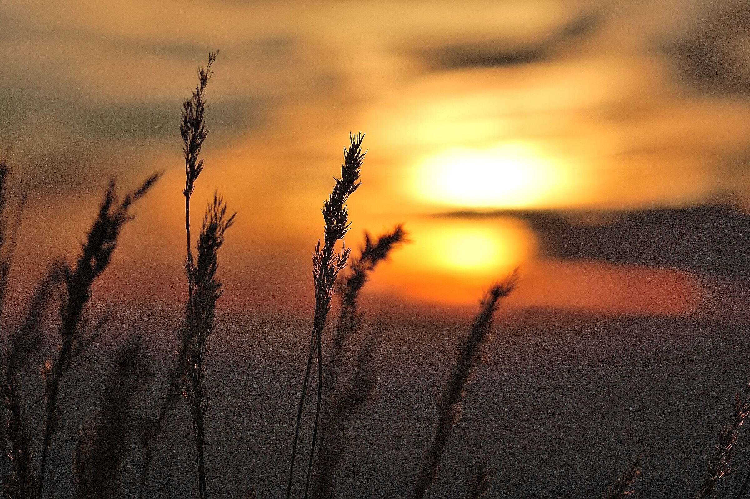 Winter sunset on the slopes of Mount Linzone
