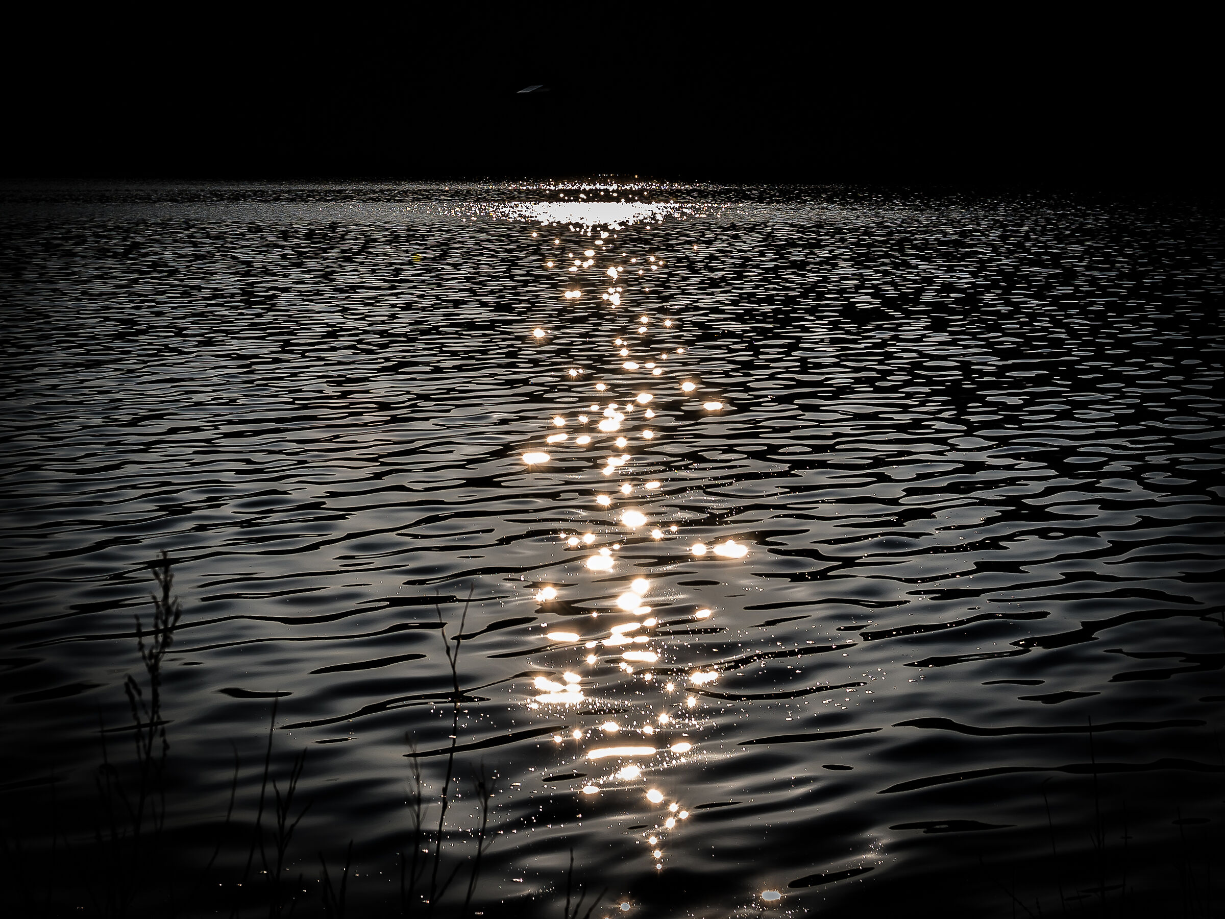 Lago di Avigliana #2