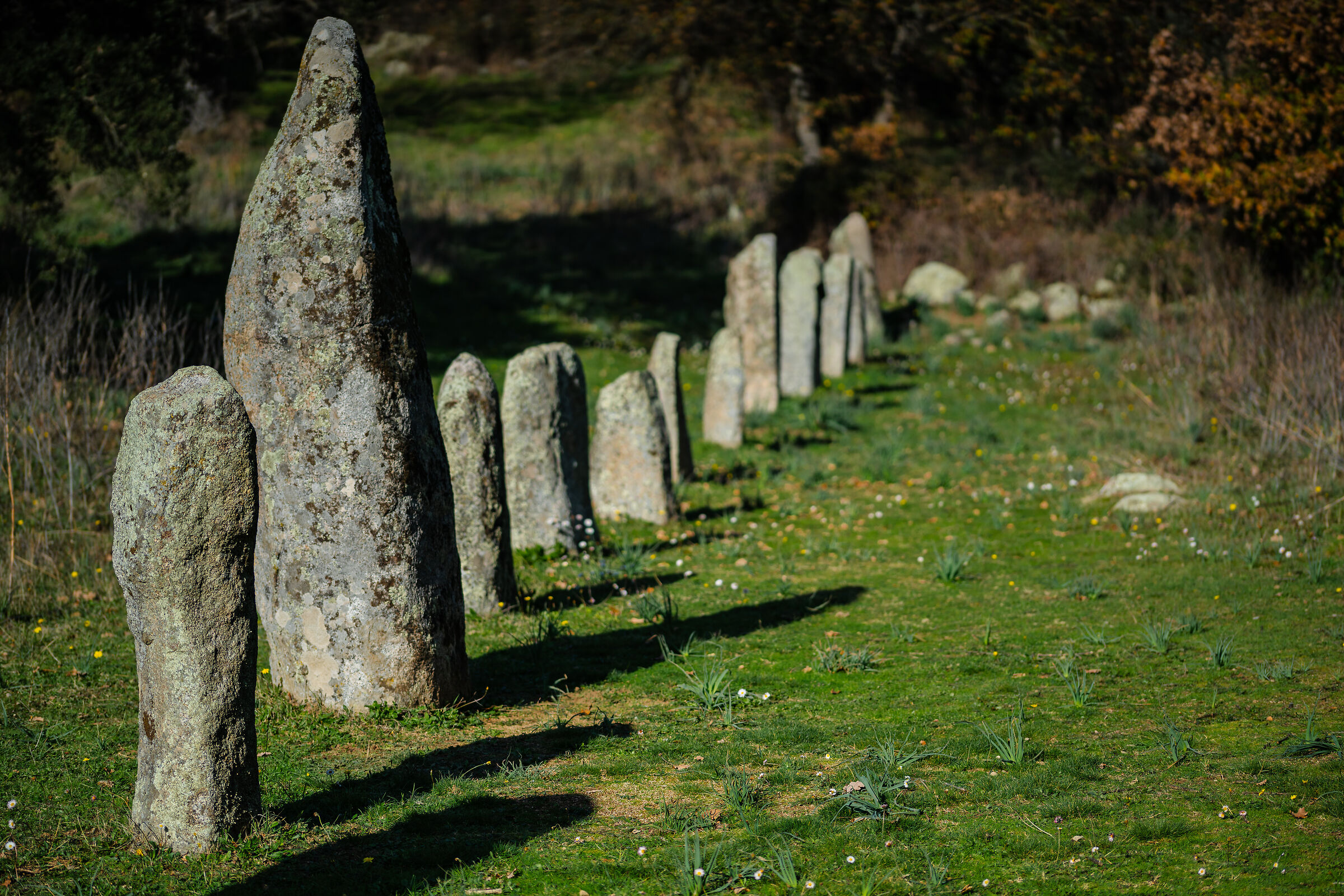Menhir "Biru 'e Concas" Sorgono (nu)