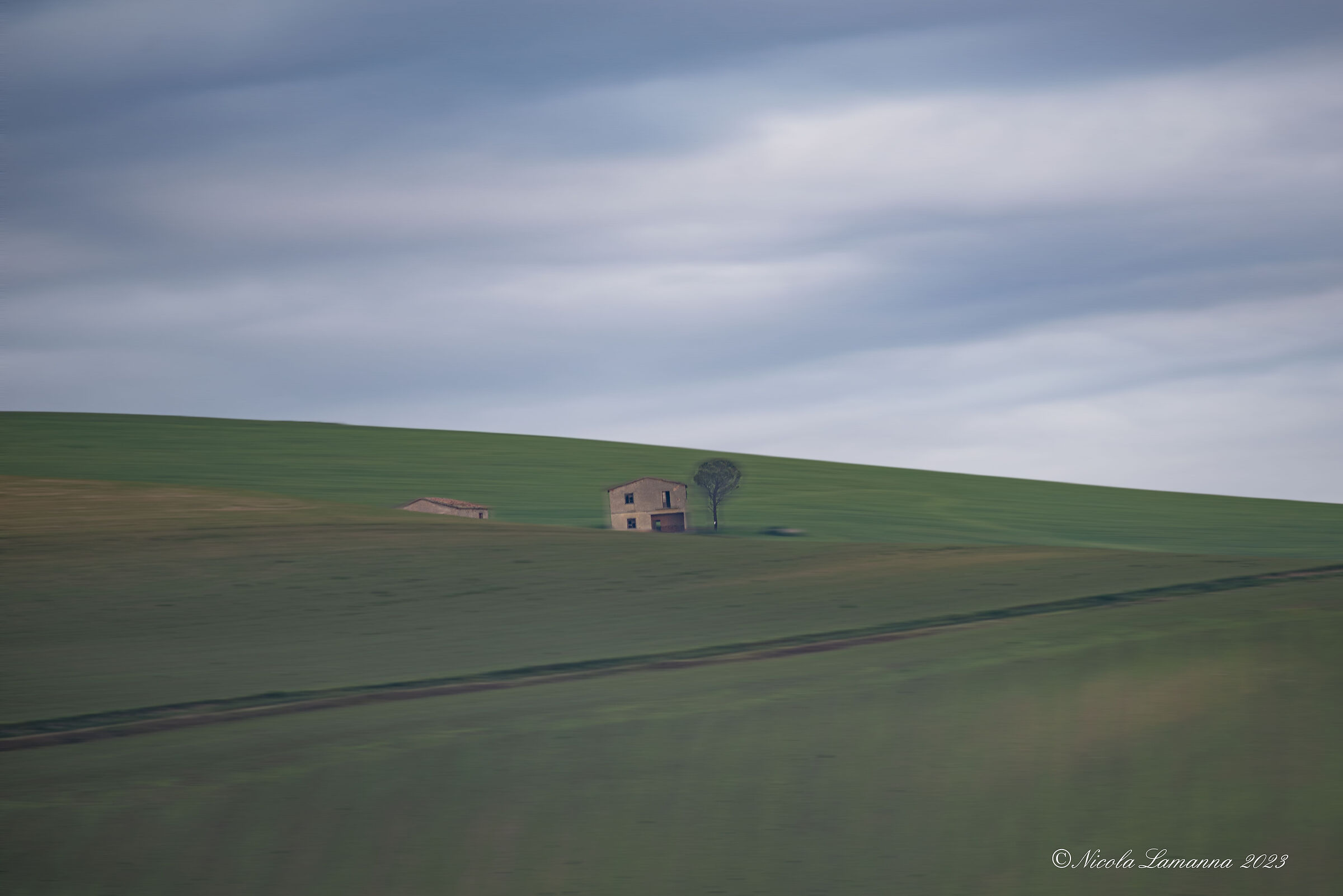 Untitled Photo
