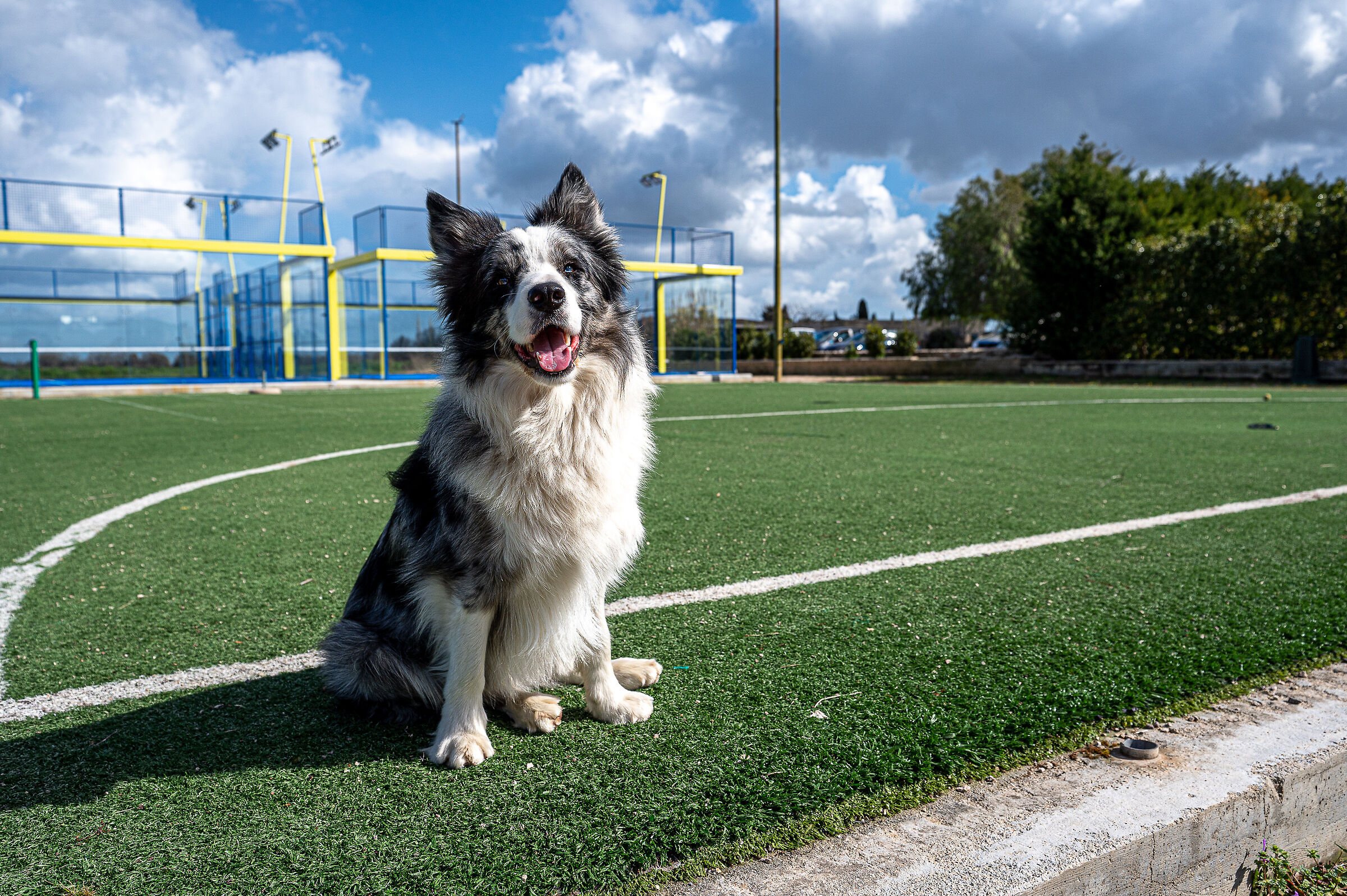 Ciak (prova Z 17-28 )