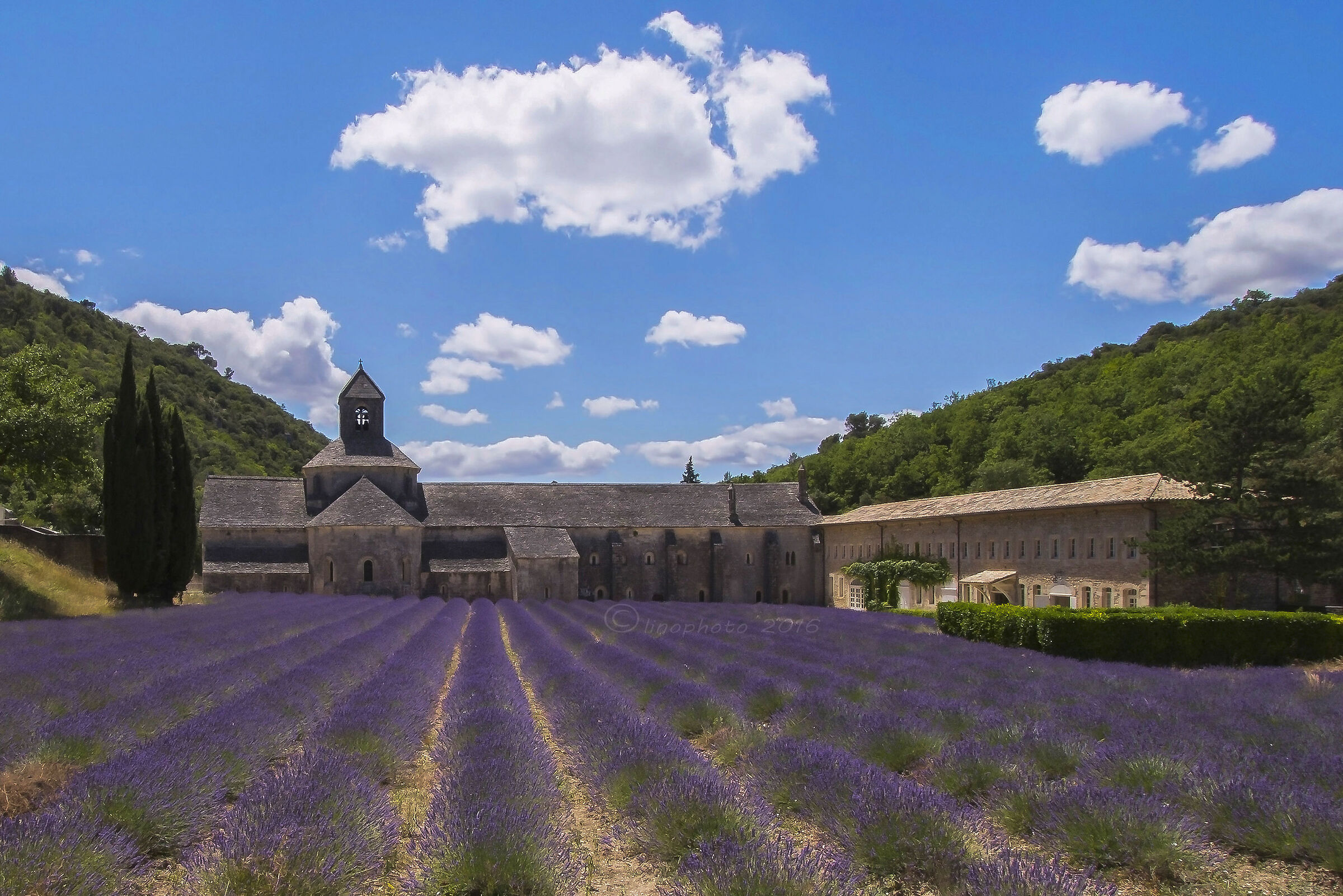 Abbazia di Senanque - Provenza