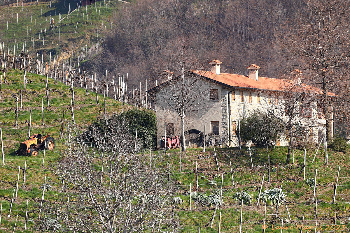 Trattore pronto a partire