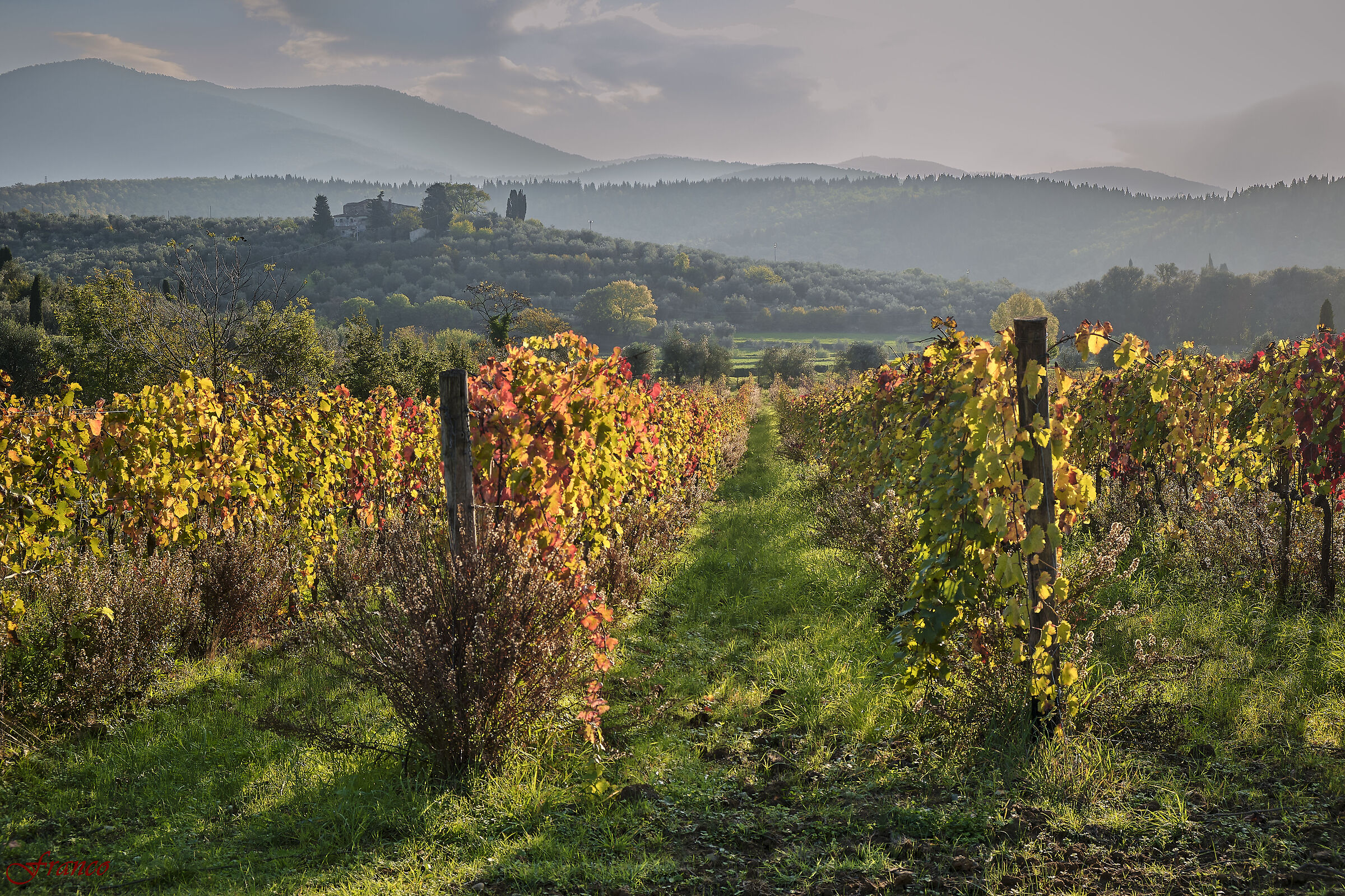Colori di autunno #3