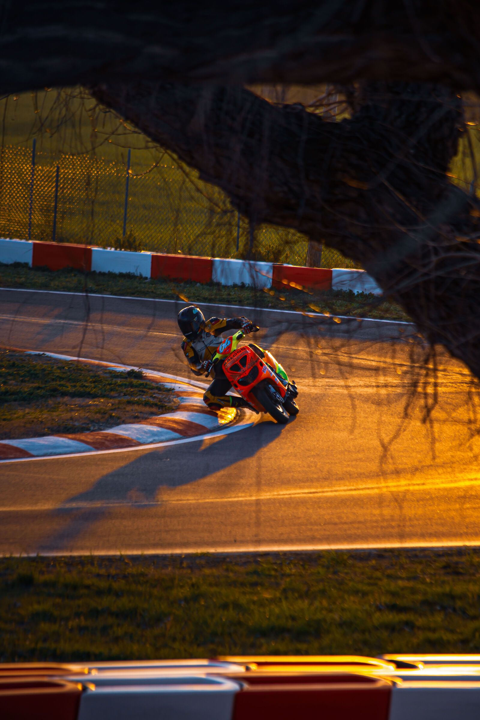 Andrea Guzzon @Malossi