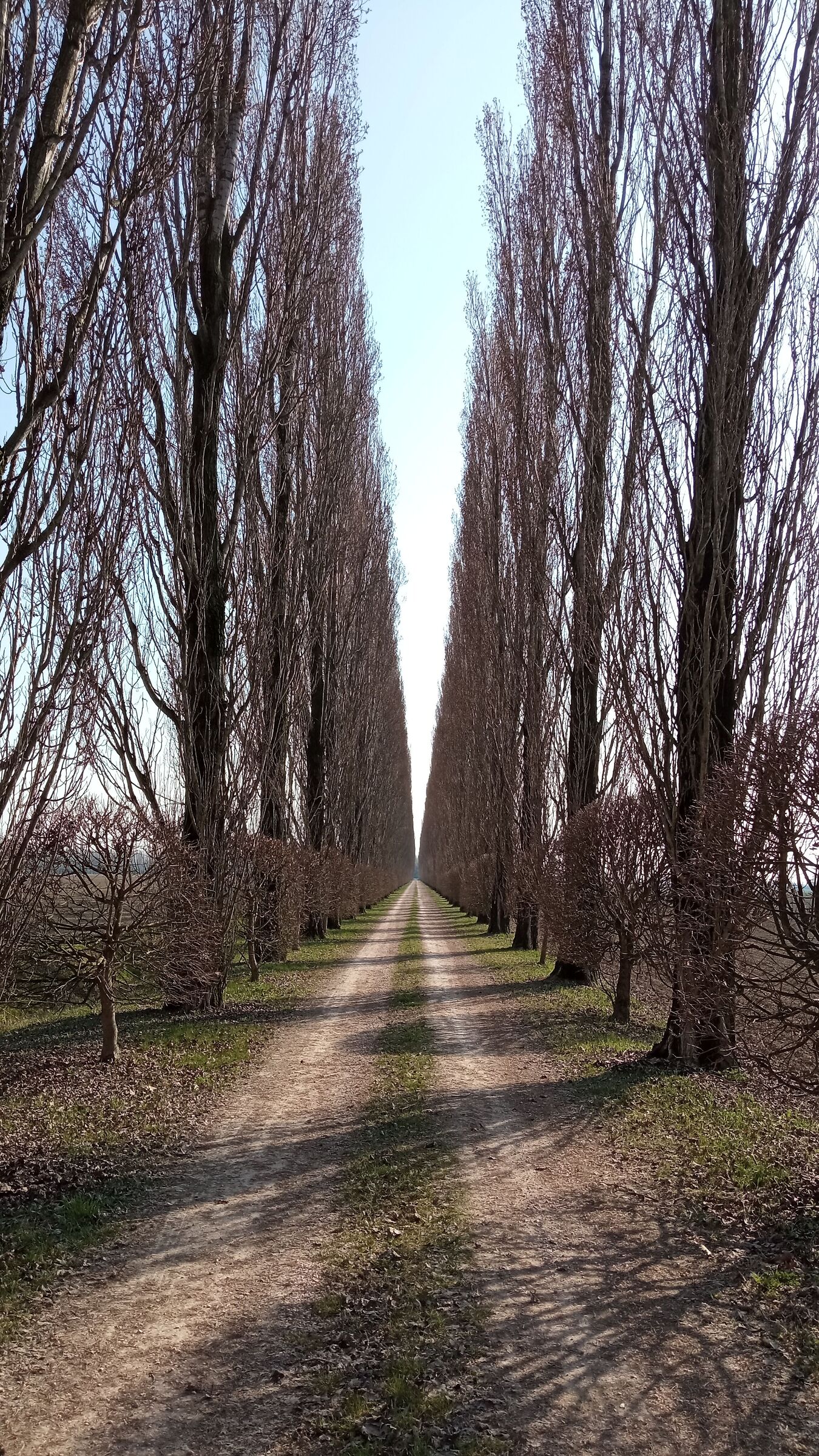 Perspective in the countryside