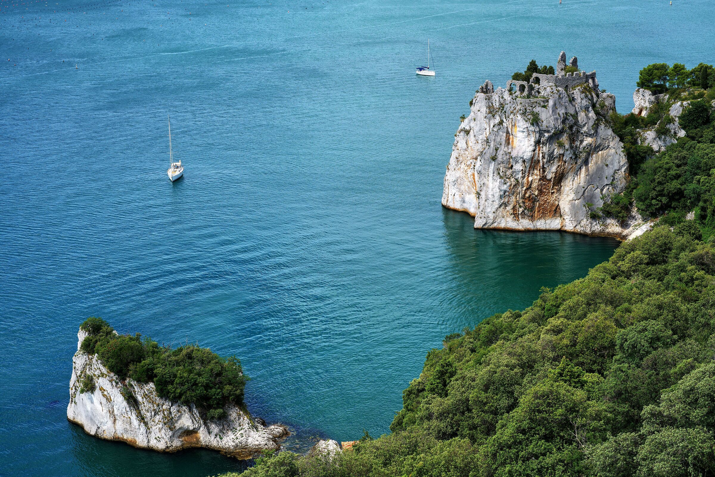 Duino microcontrast view