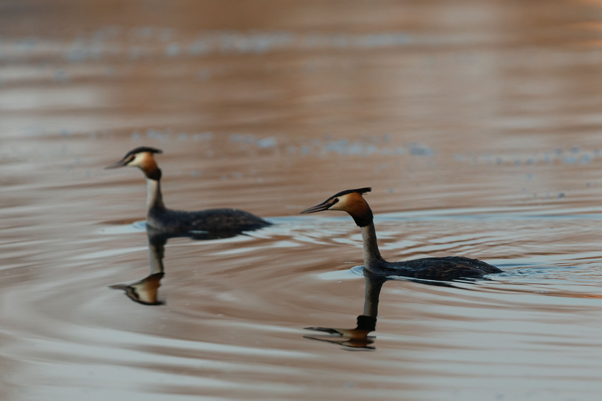 Reflections... return