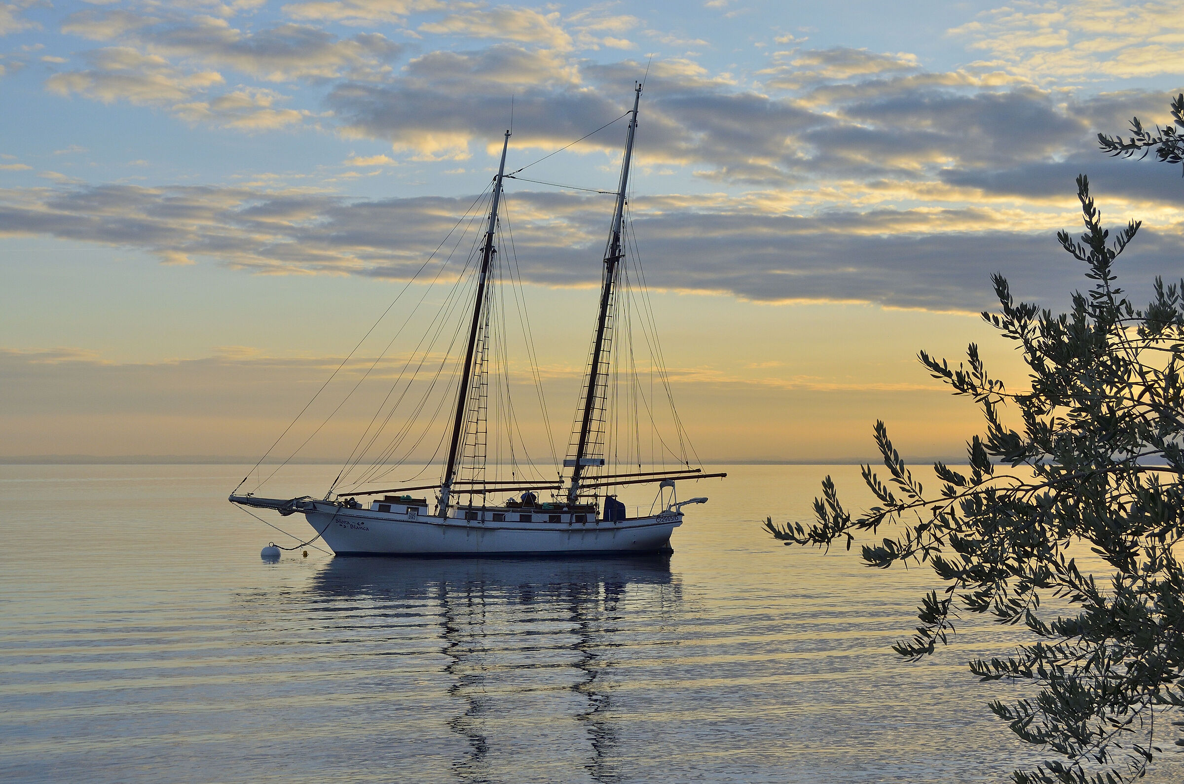 Venetian Caribbean -1