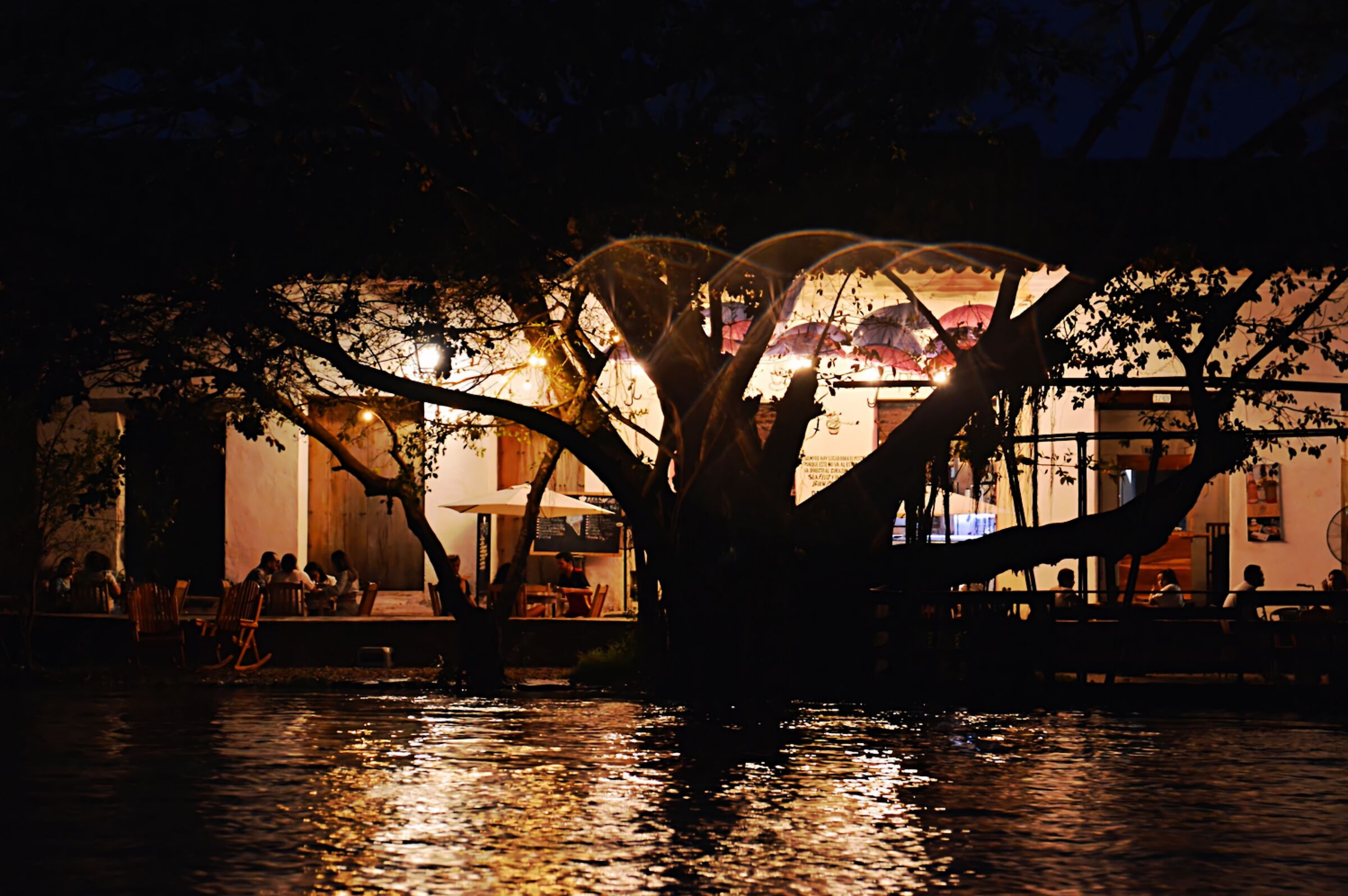 Detail of Mompox from Magdalena River