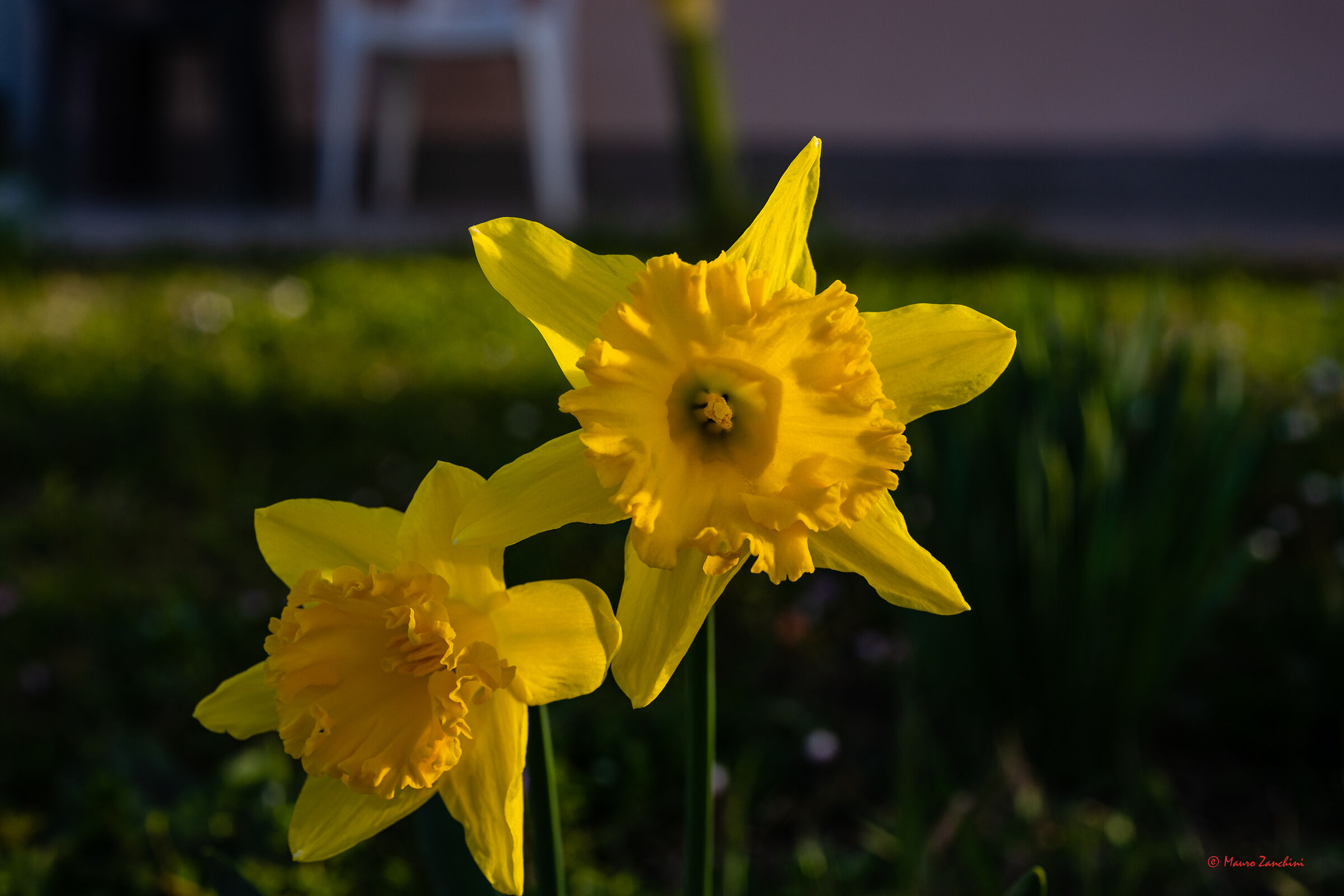 Dedicato a tutte le donne