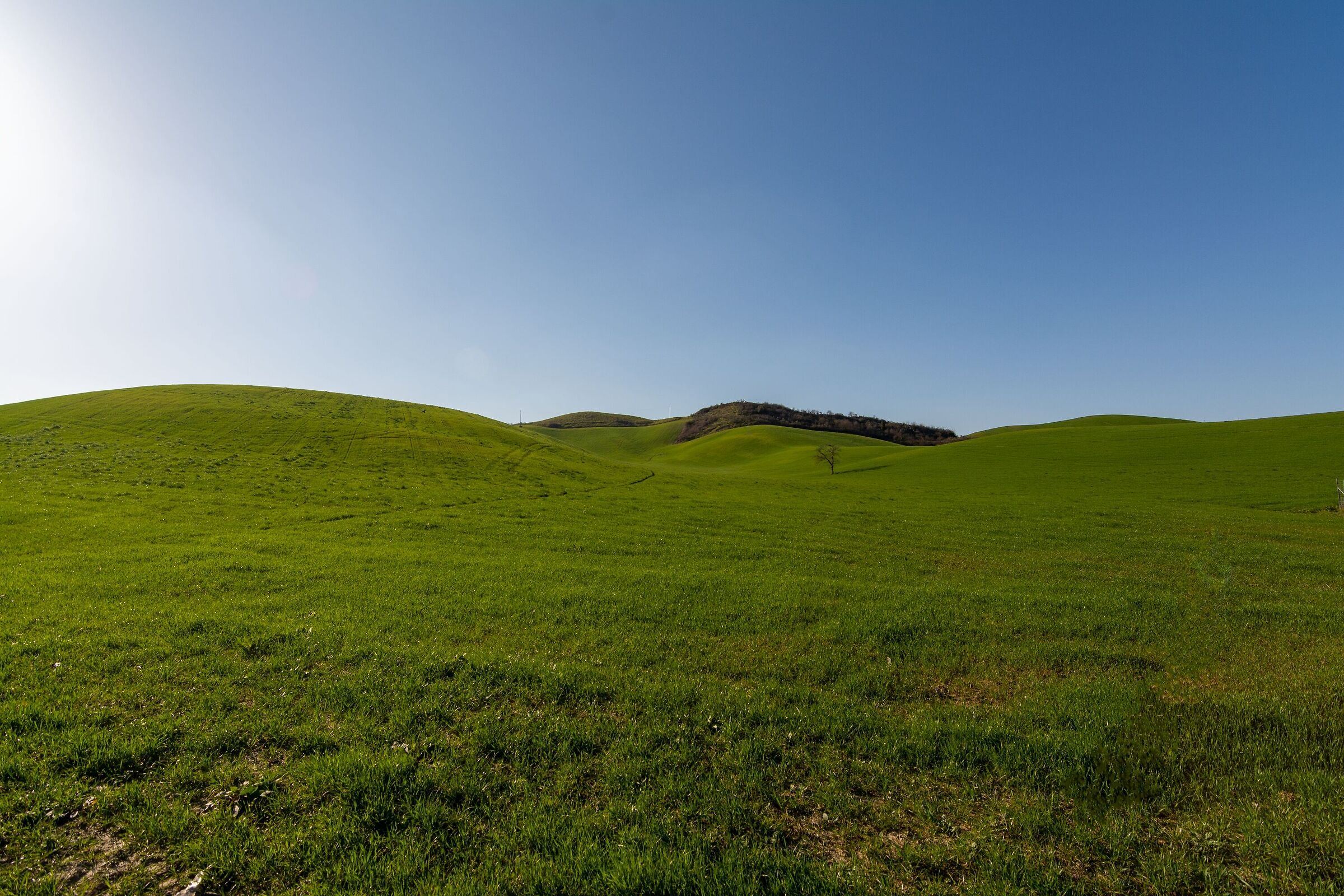 Colline toscane