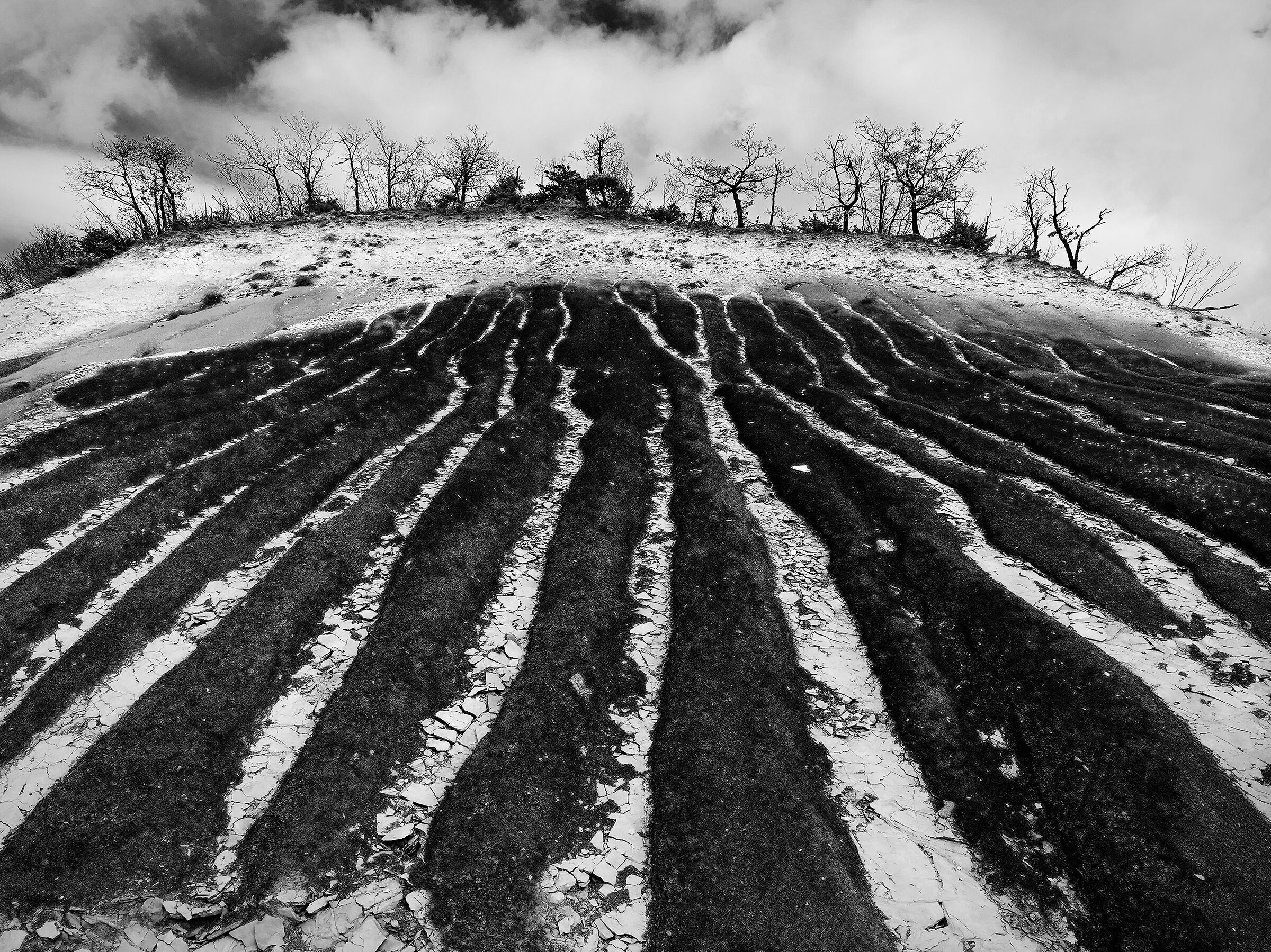 l' Adorazione della Terra