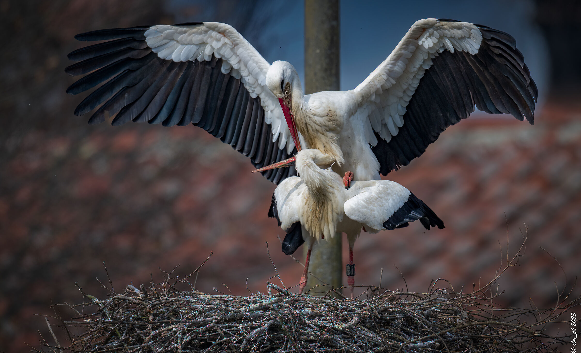 Time of love in Racconigi