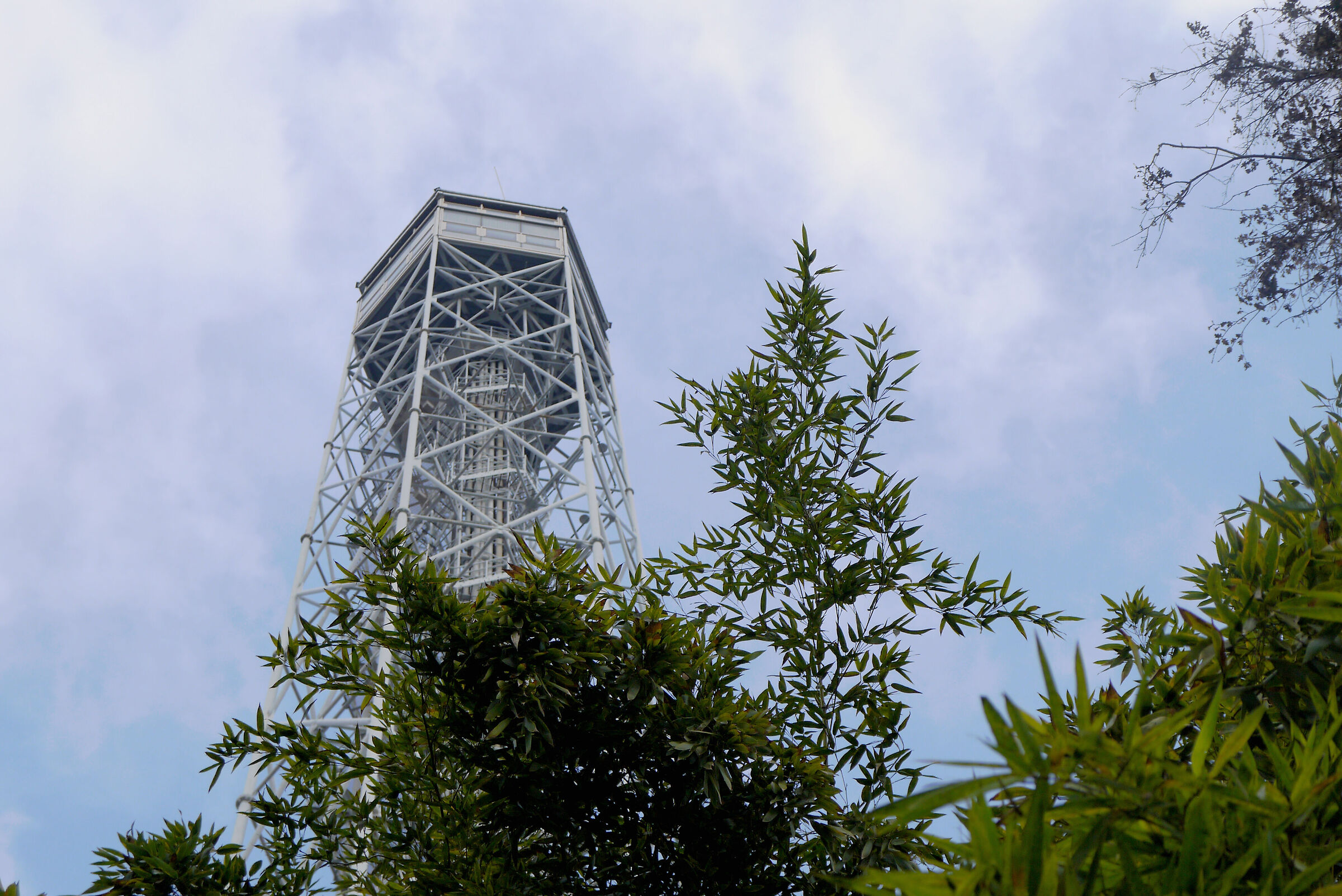 The Branca Tower
