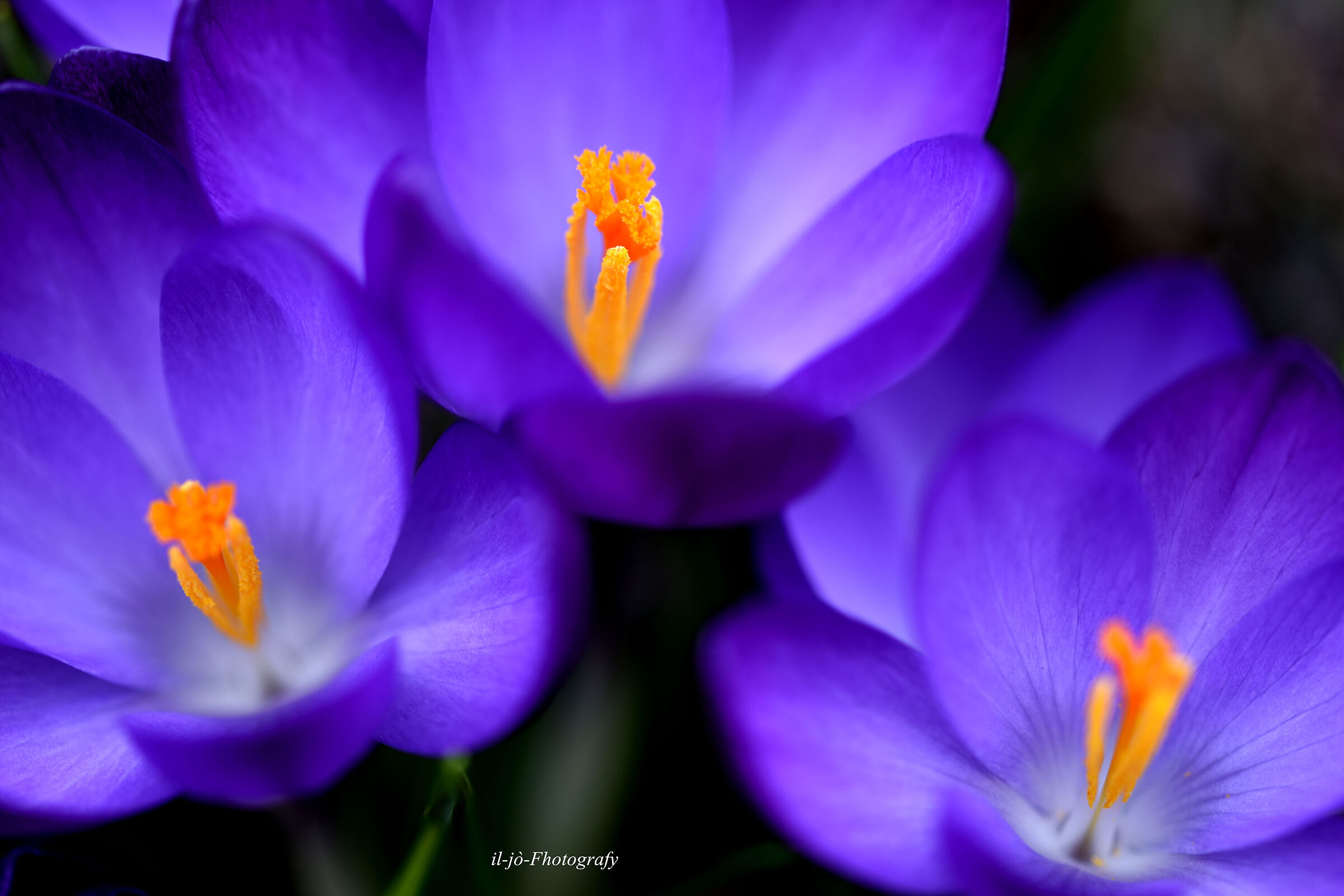 Untitled Photo