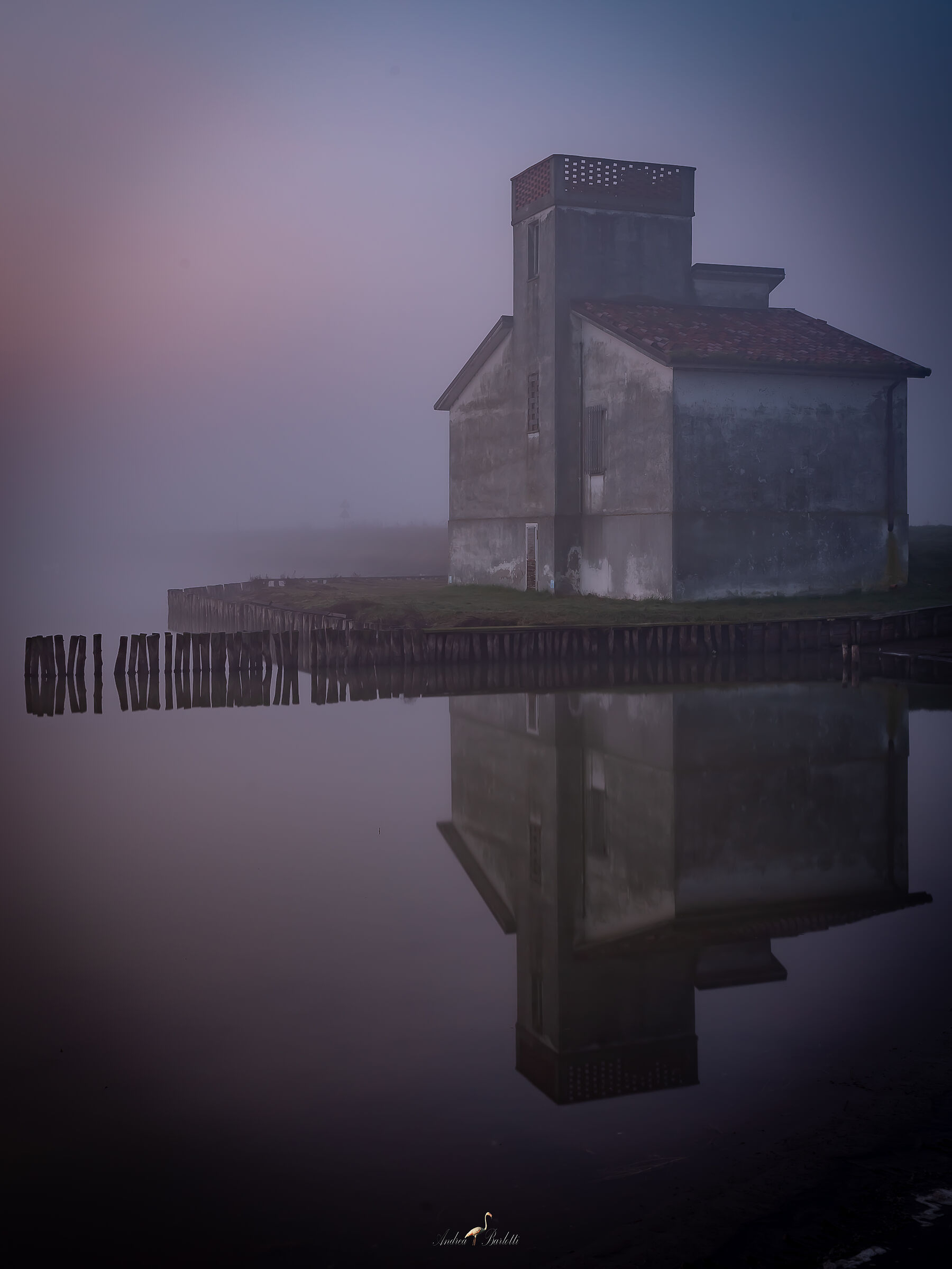 The colors of the fog