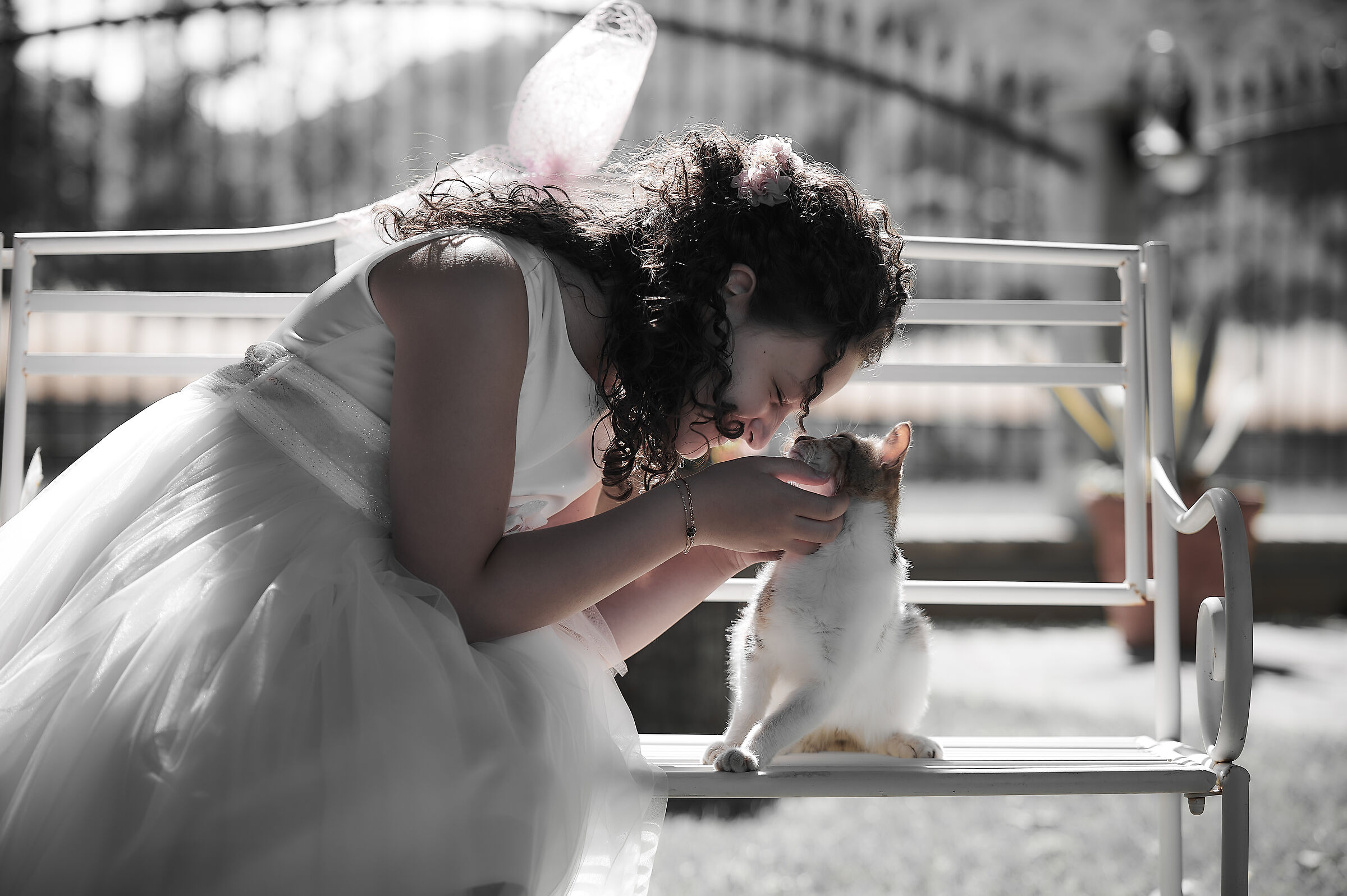 Untitled Photo