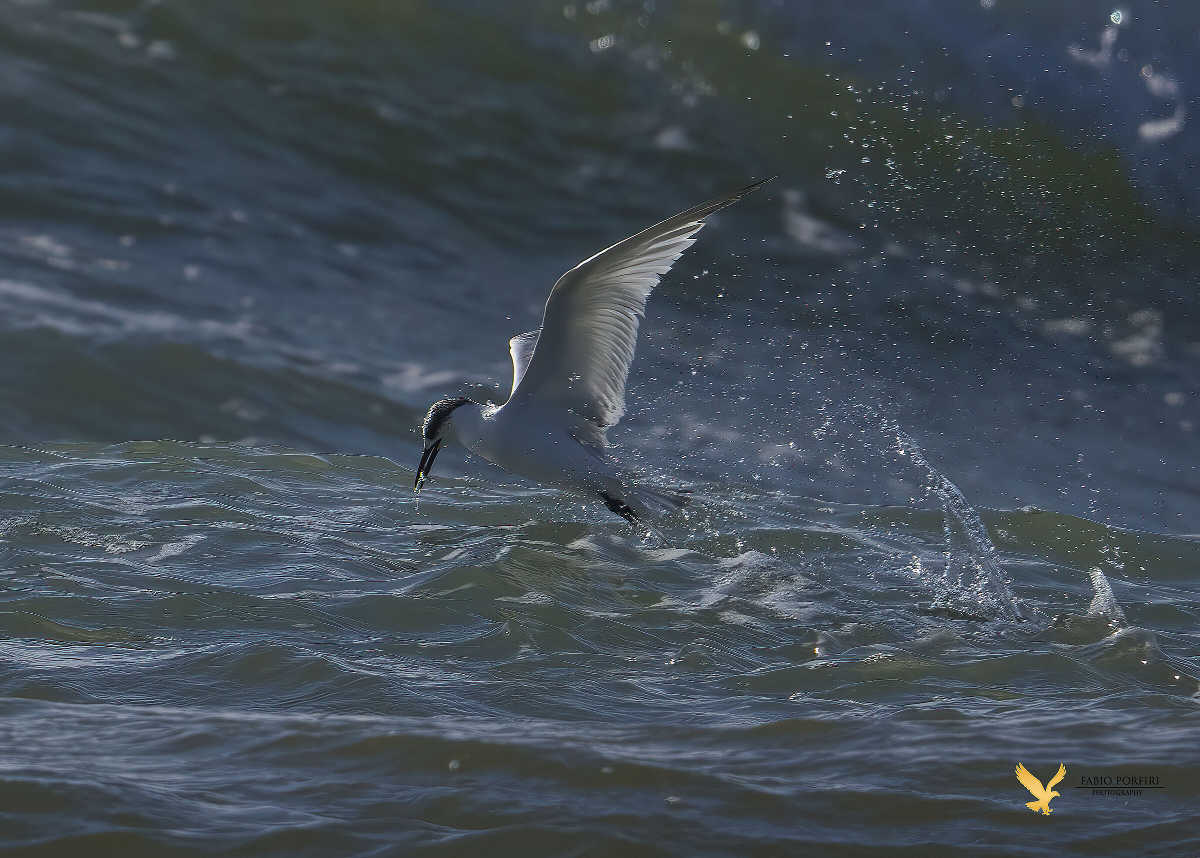 finalmente si mangia