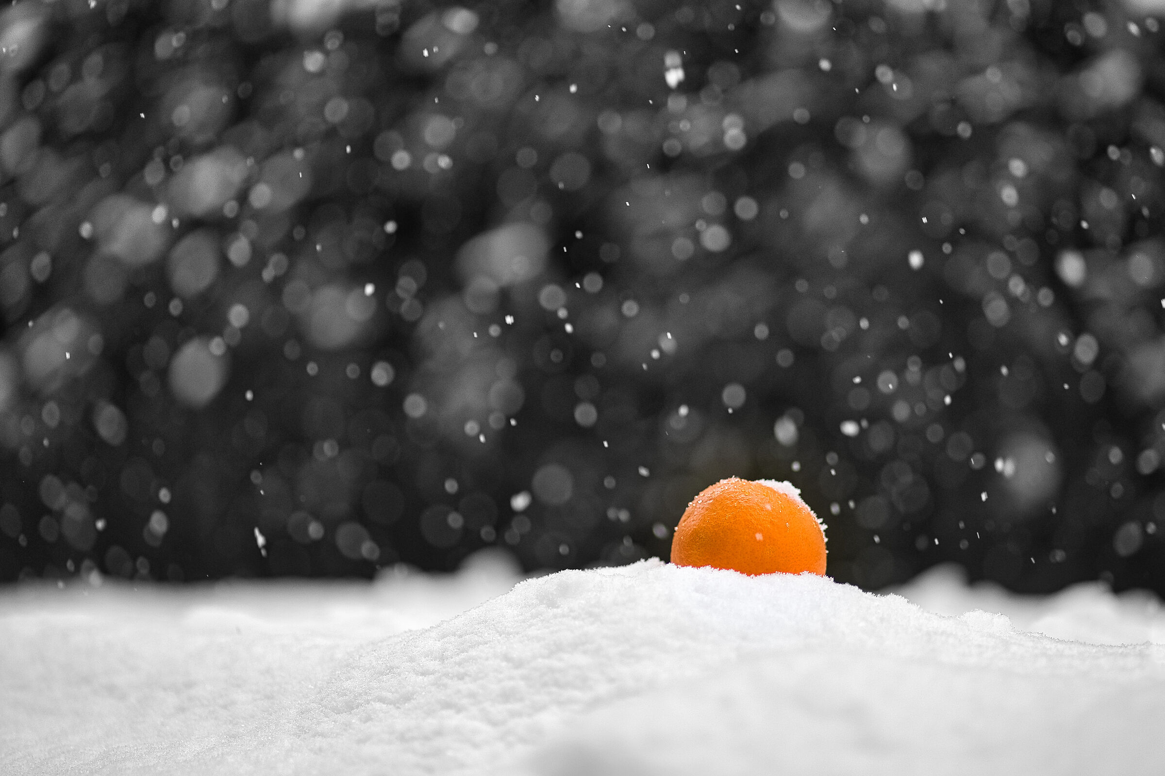 Orange in frost