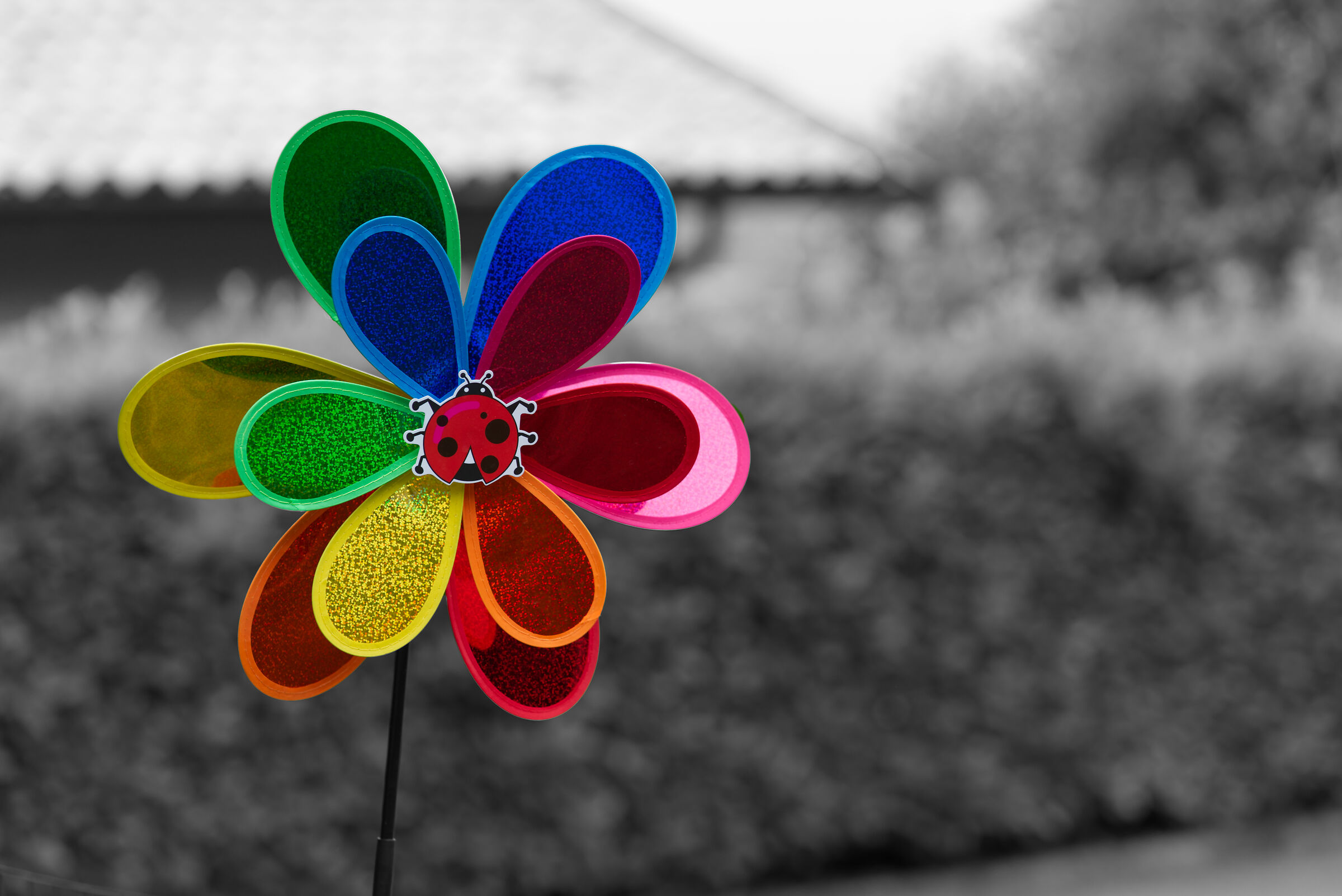 Pinwheel