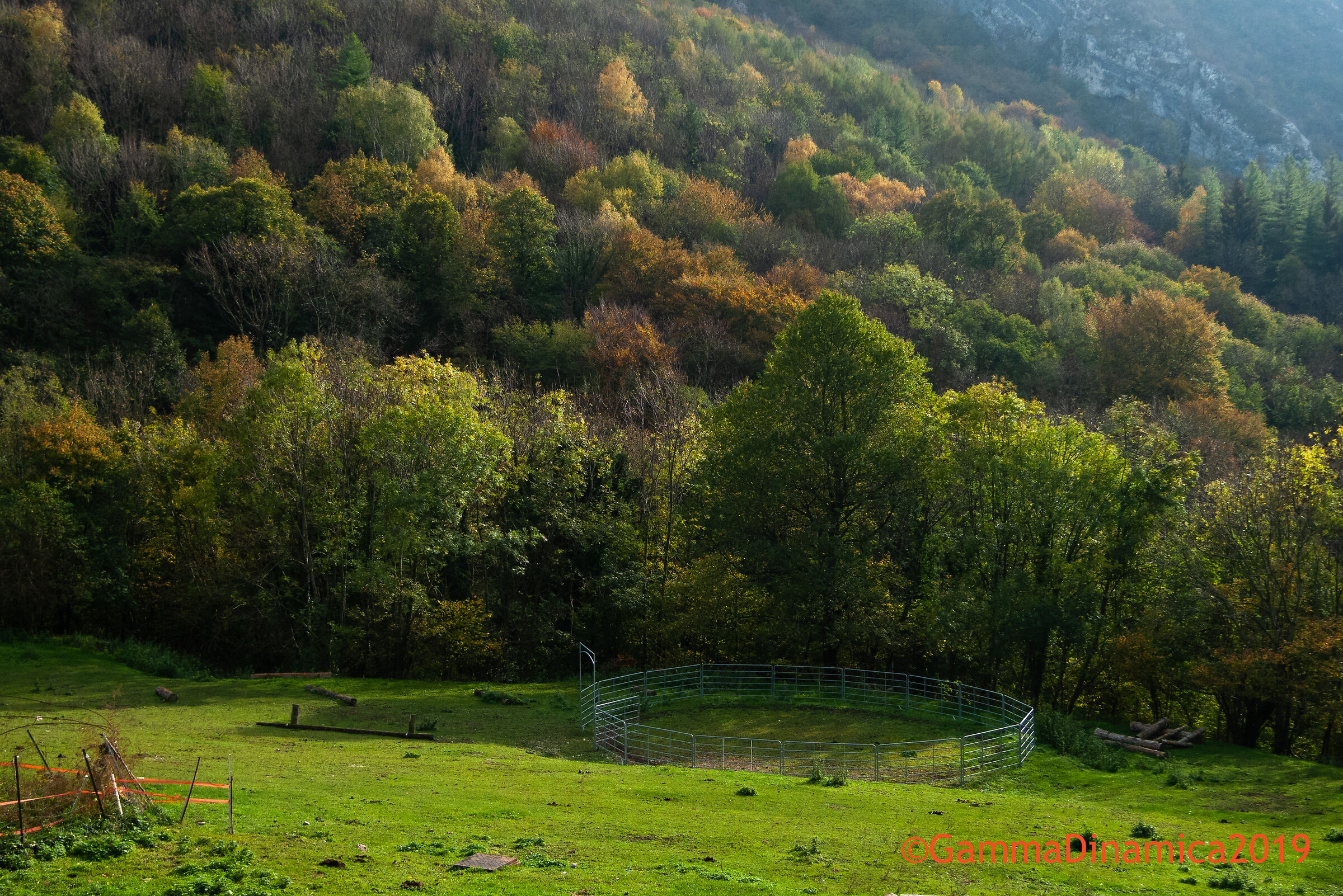 Luce autunnale