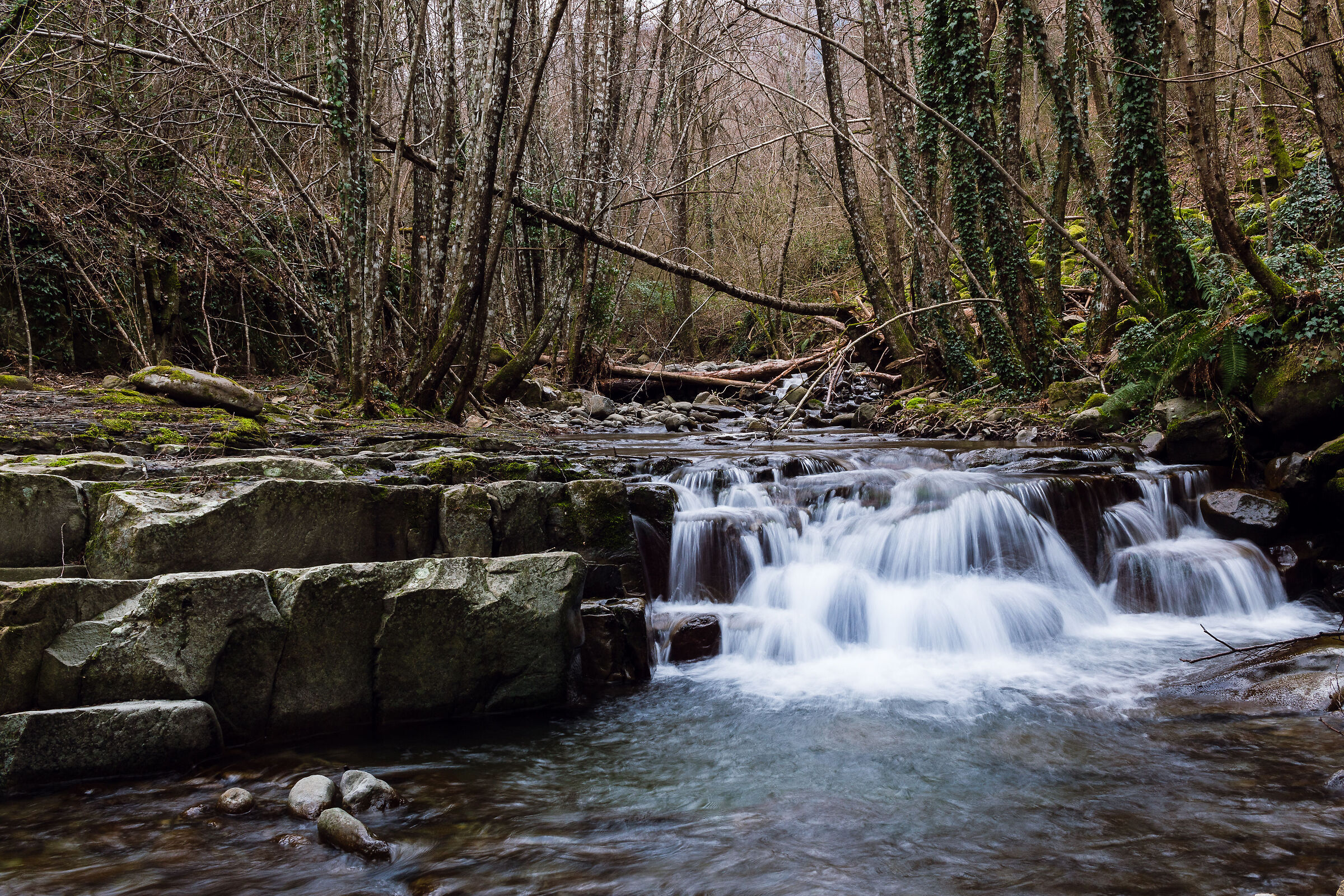 Ciuffenna River