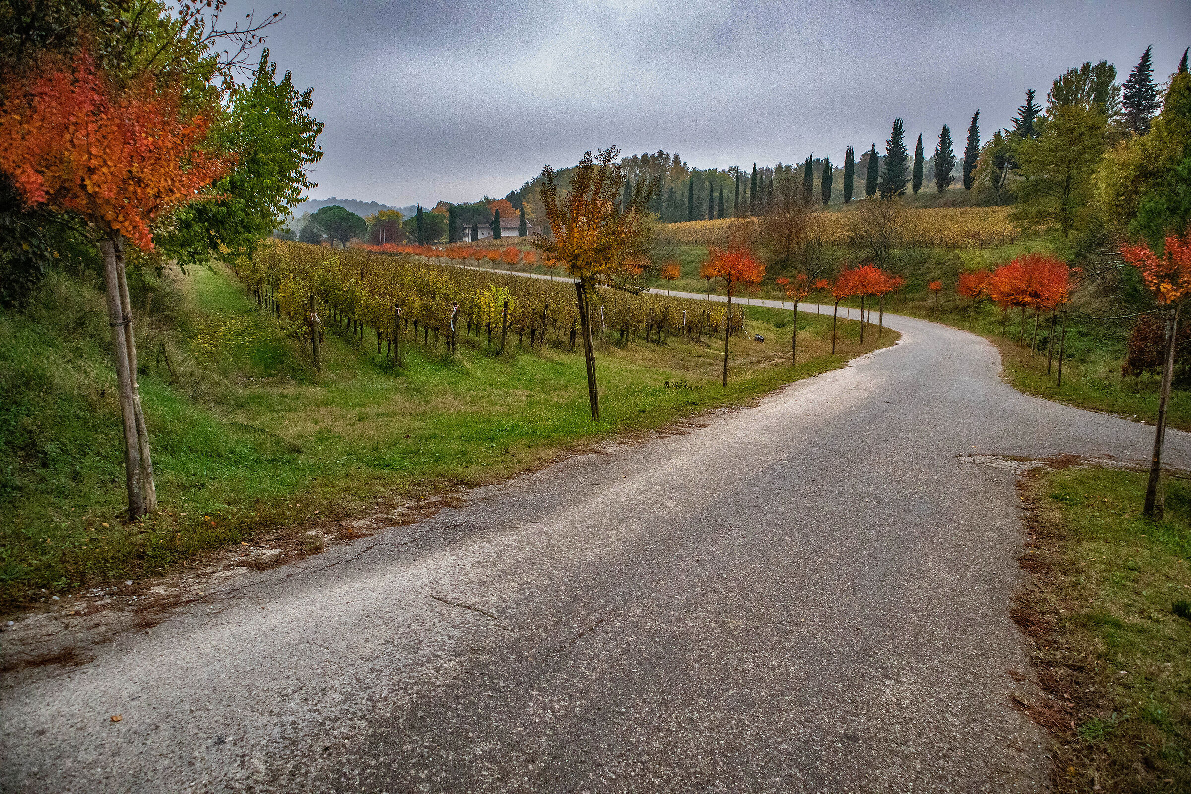 Strade di campagna
