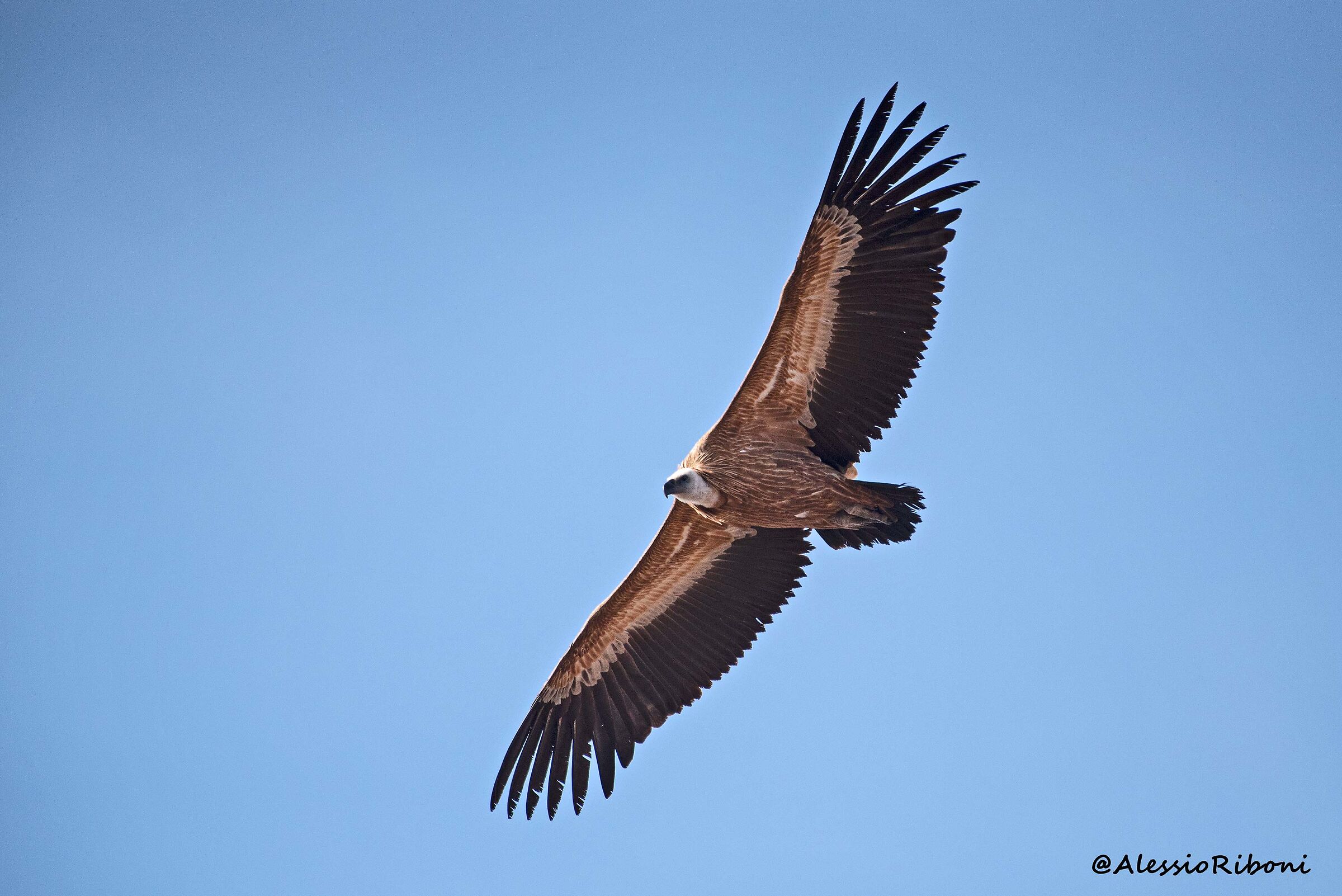 ????????? Who helps me