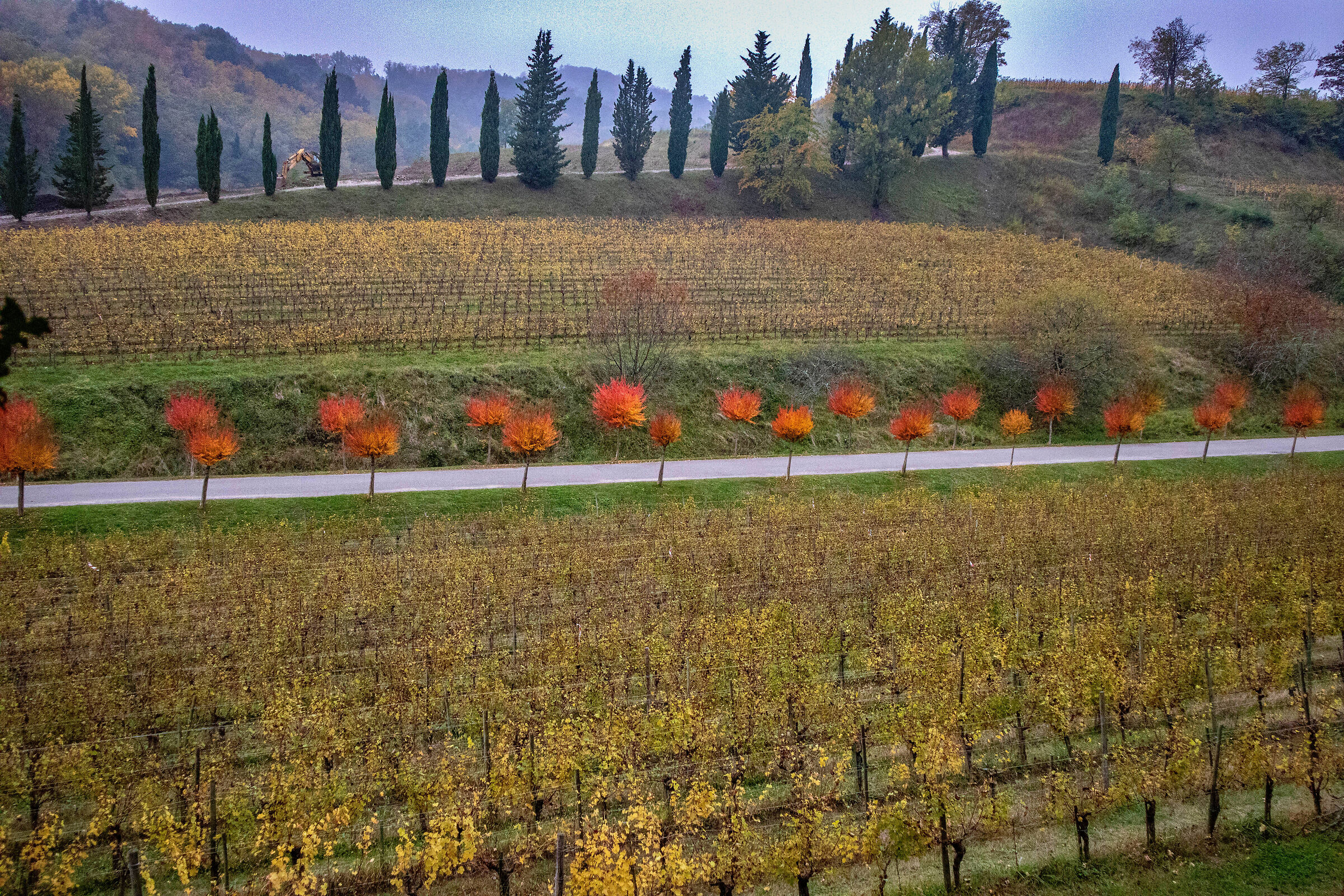 Paesaggi di ....vini