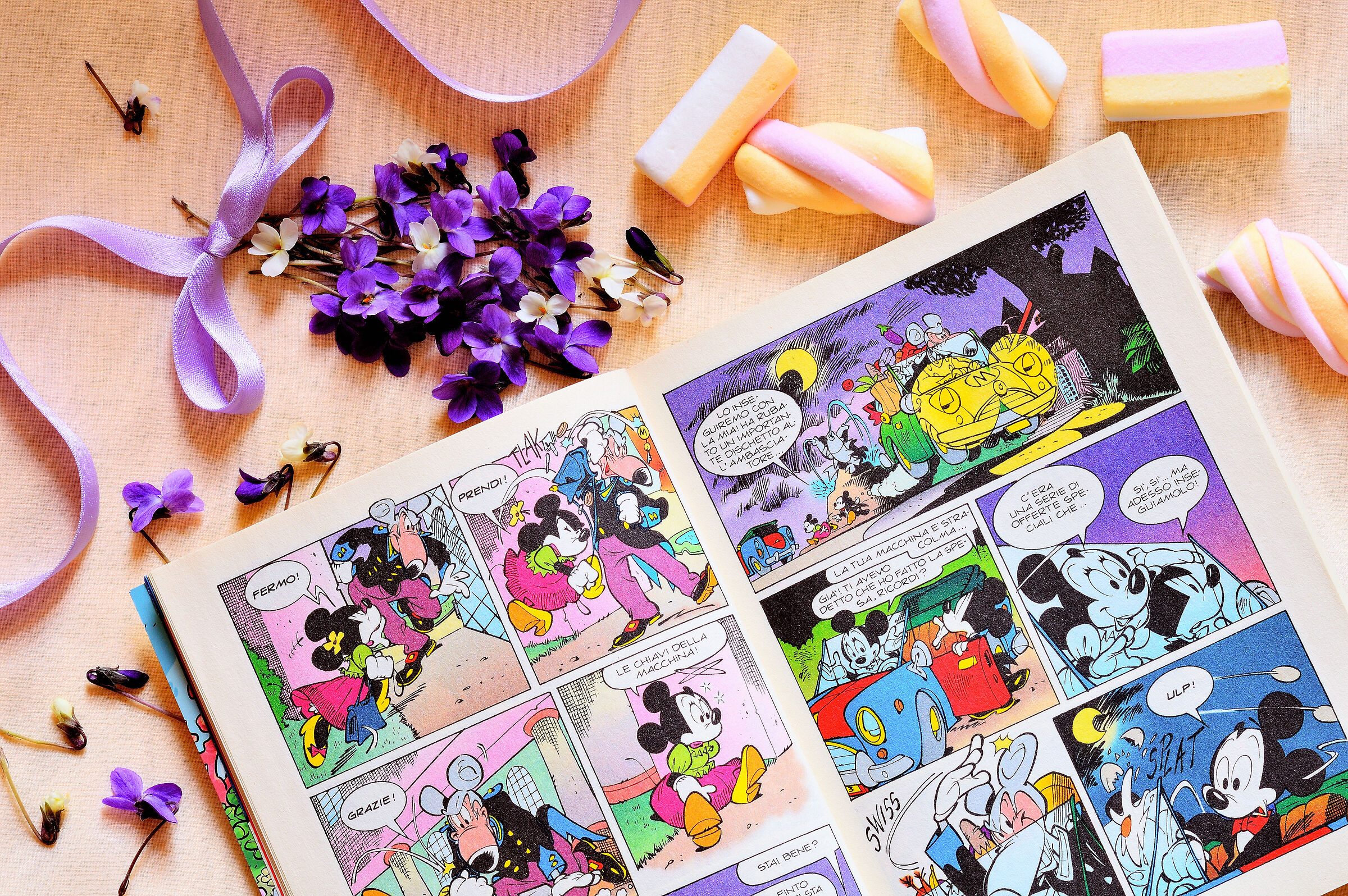 I mitici Topolino e Minni