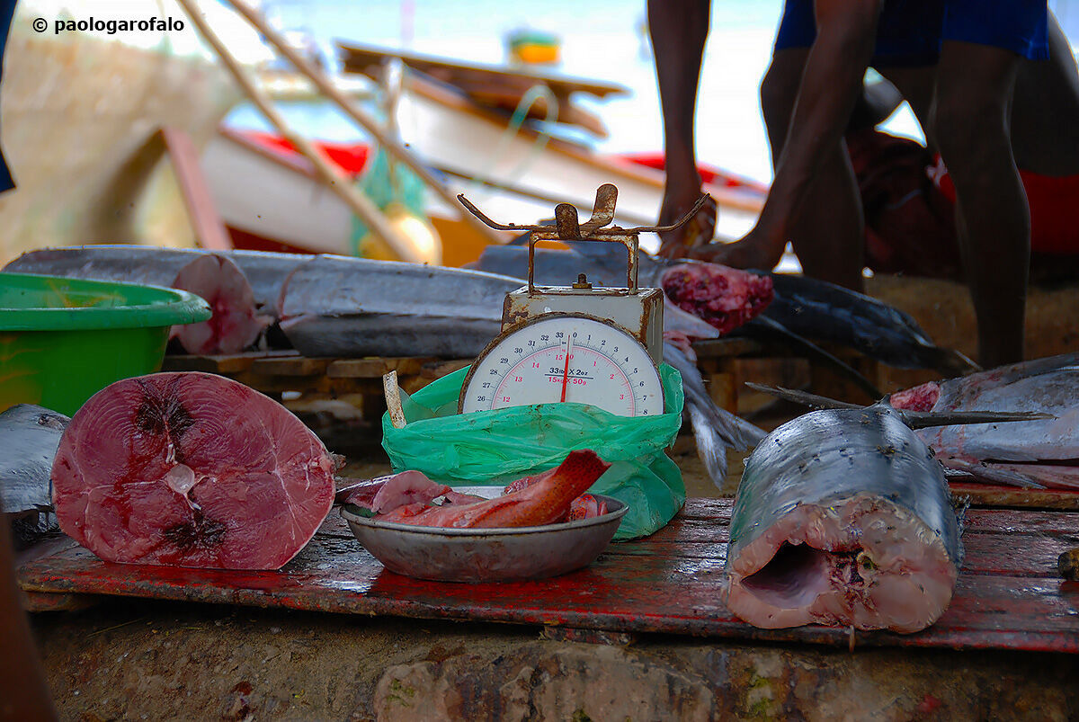 At the fish market... (... and flies)