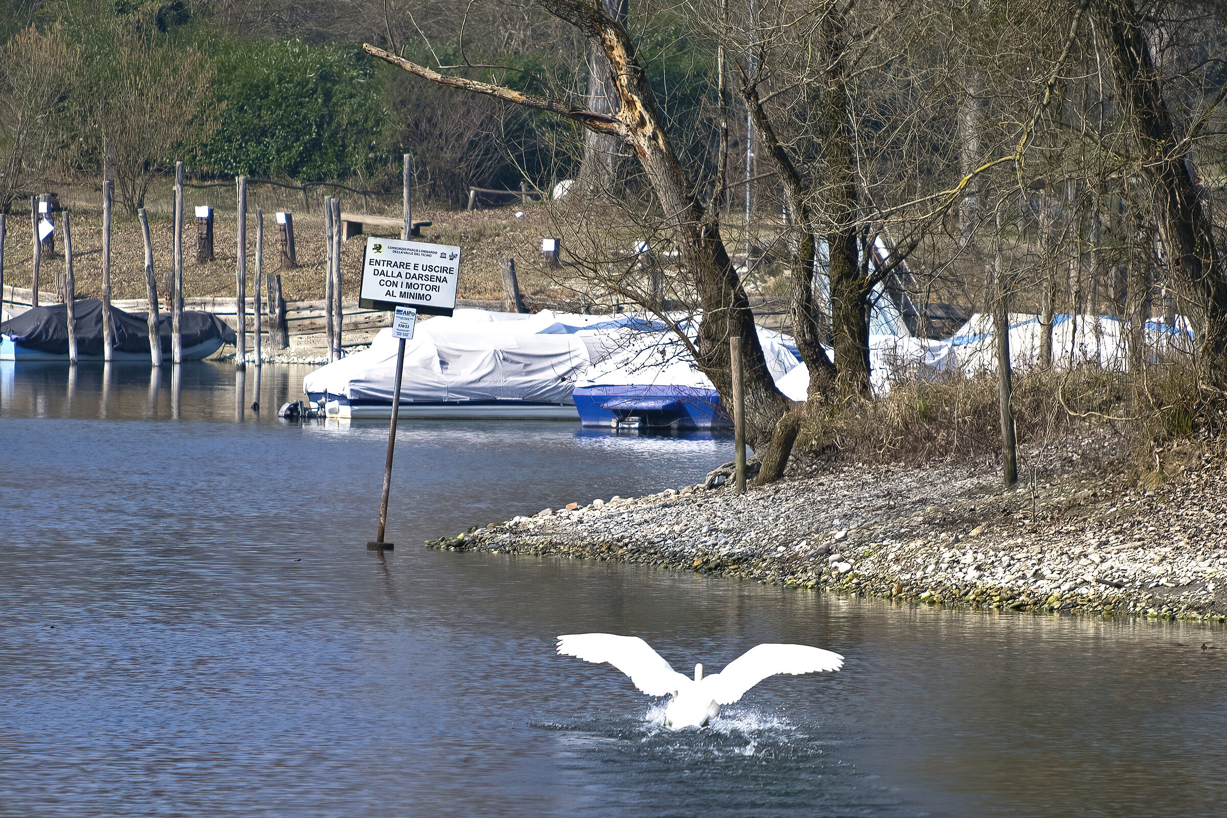 Avrà letto il cartello?