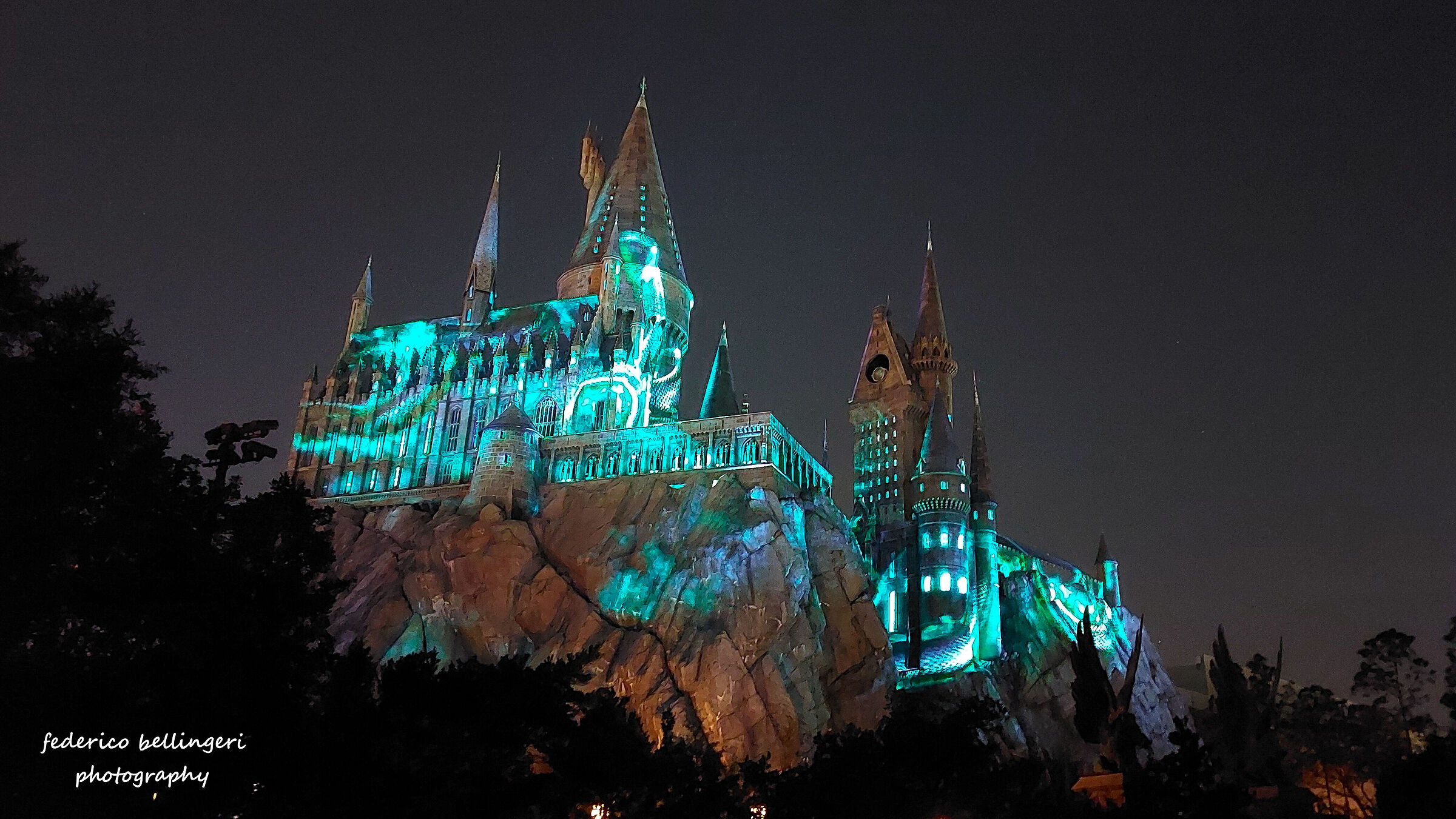 Harry Potter Castle