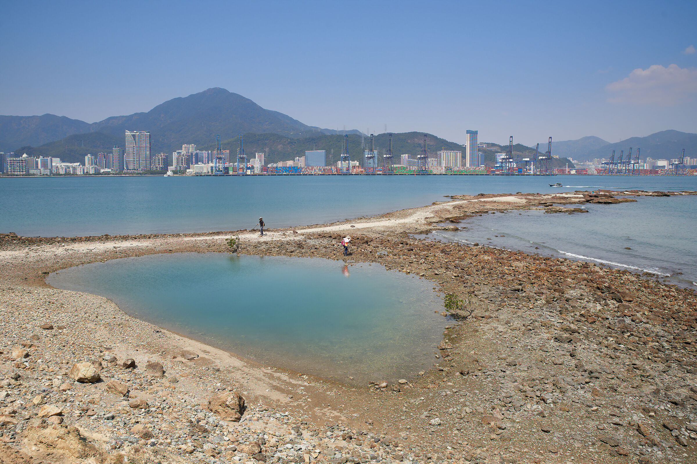 Natural swimming pool