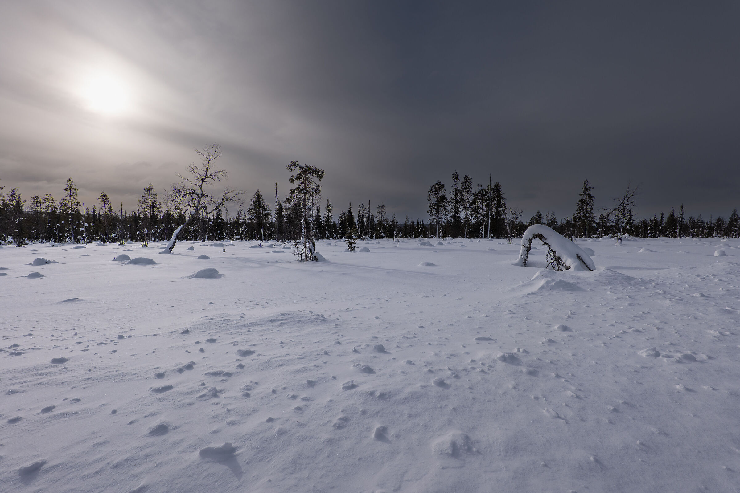 Lapponia Finlandes