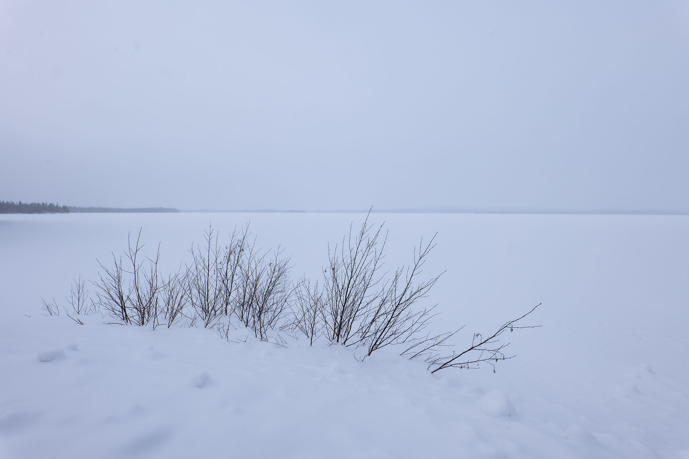 Lapponia Finlandese