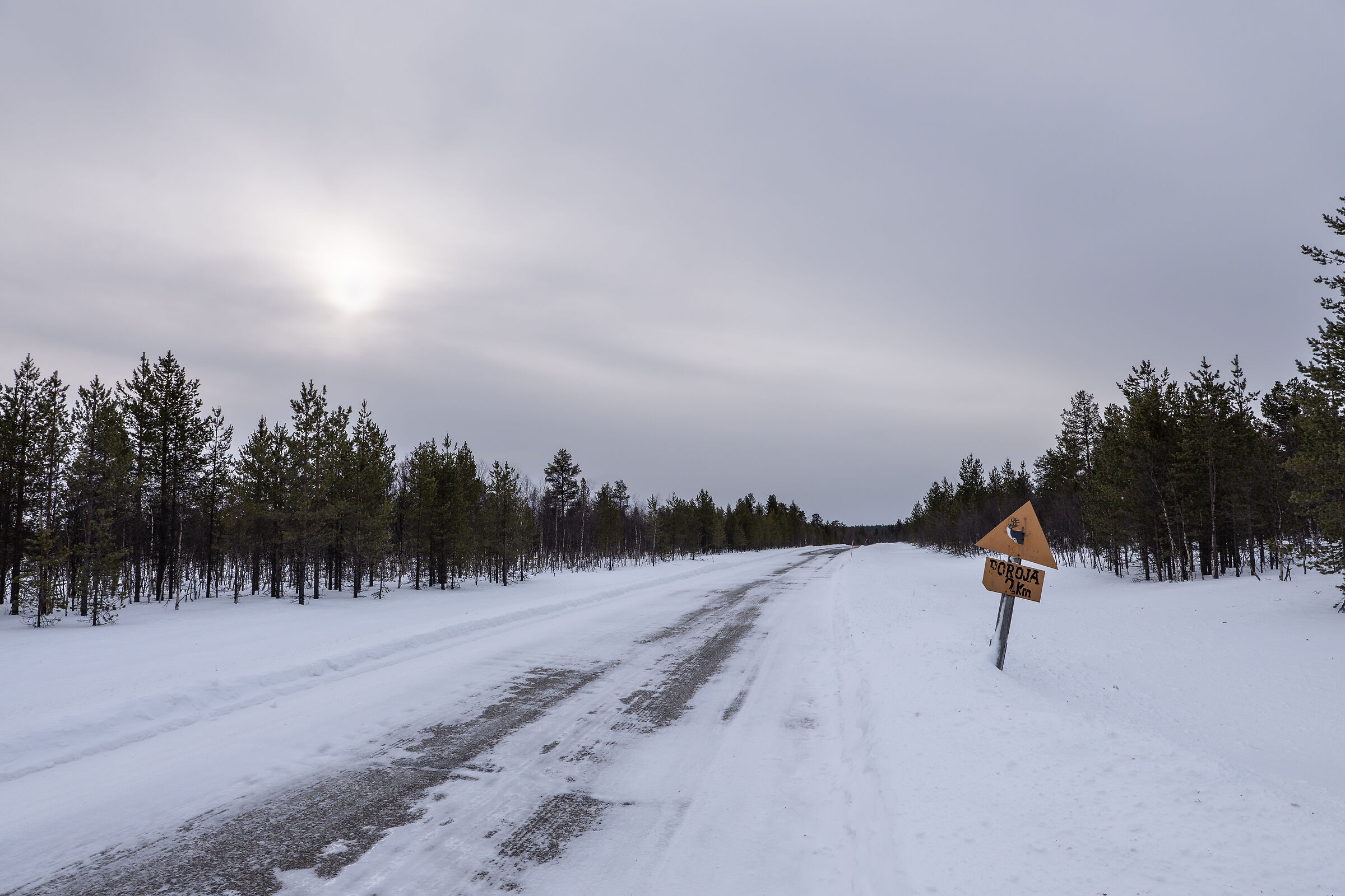 Lapponia Finlandese